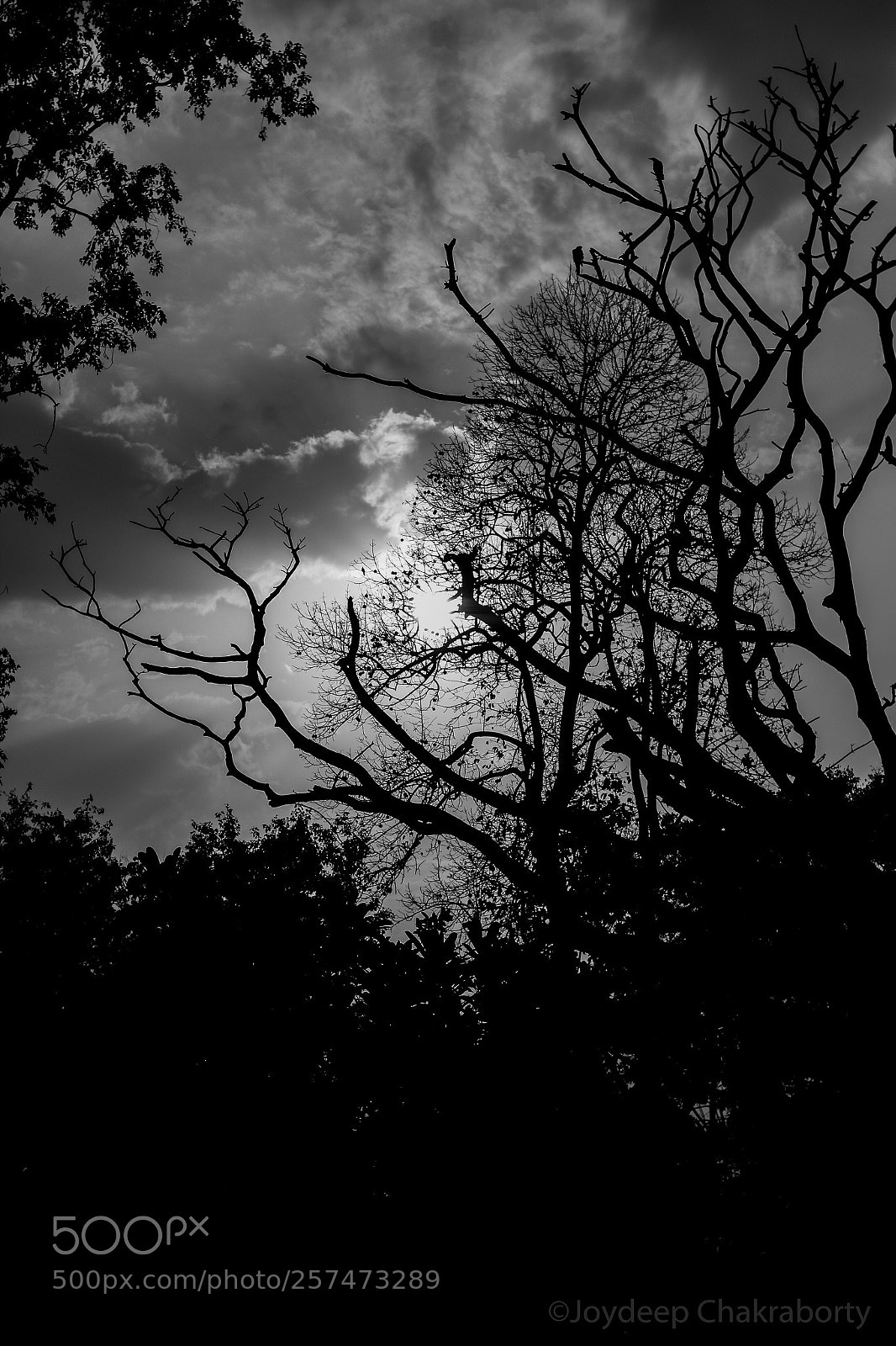 Canon EOS 70D sample photo. Moody weather . photography