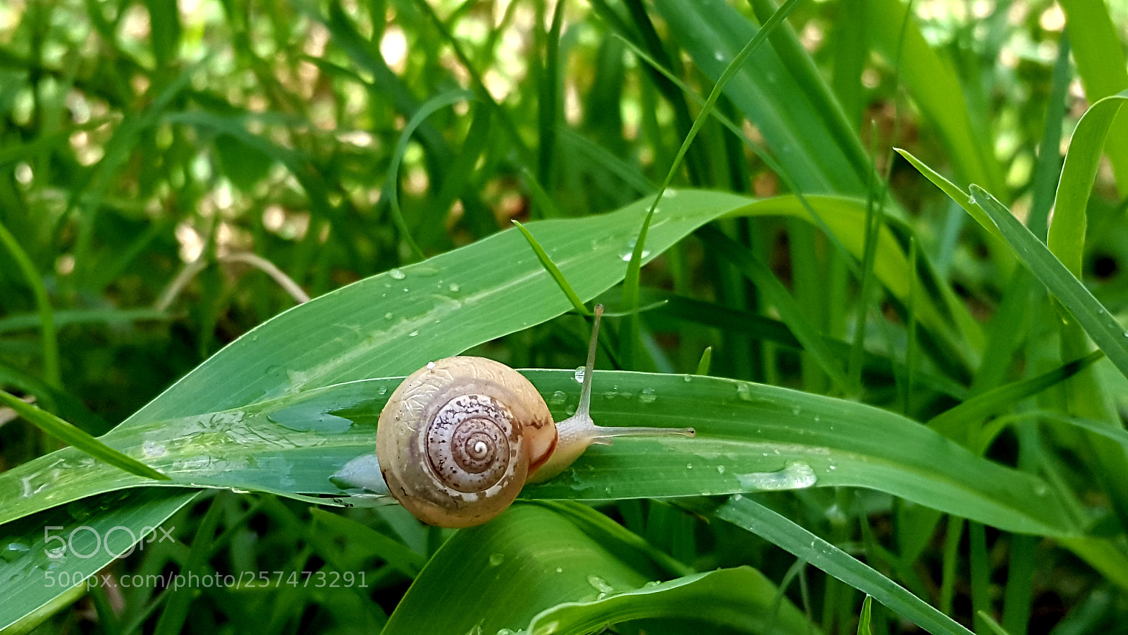 Samsung Galaxy S5 sample photo. Untitled photography