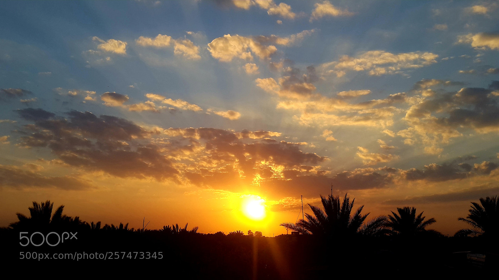 Samsung Galaxy S5 sample photo. Untitled photography