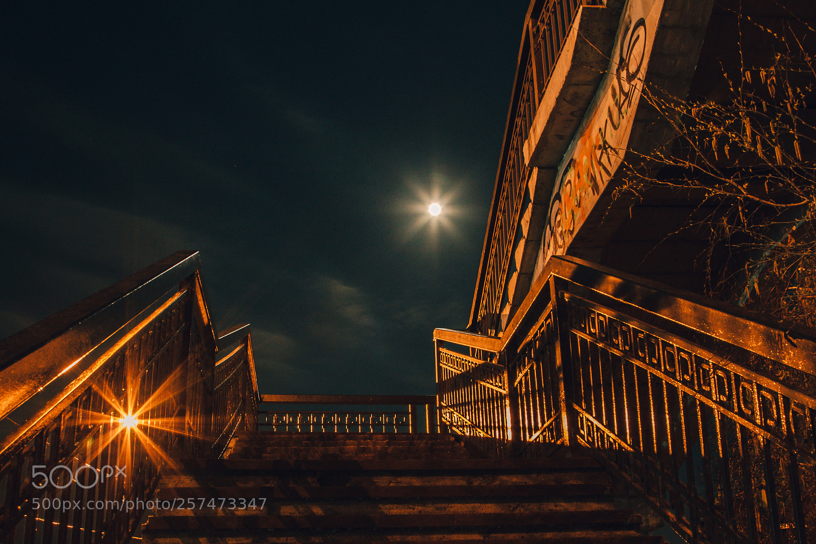 Canon EOS 7D sample photo. Moon and lamp photography