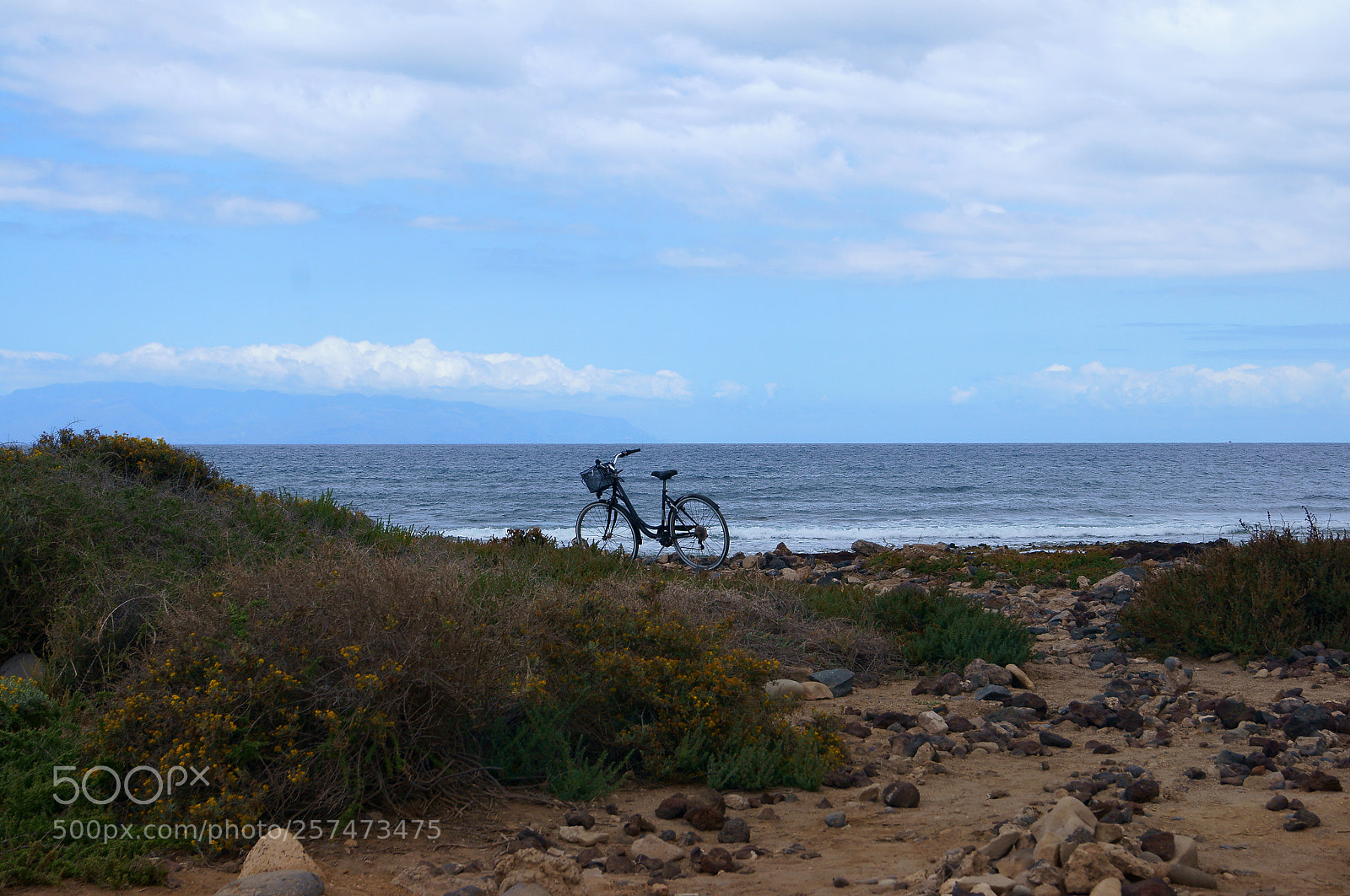 Sony SLT-A57 sample photo. Bike photography