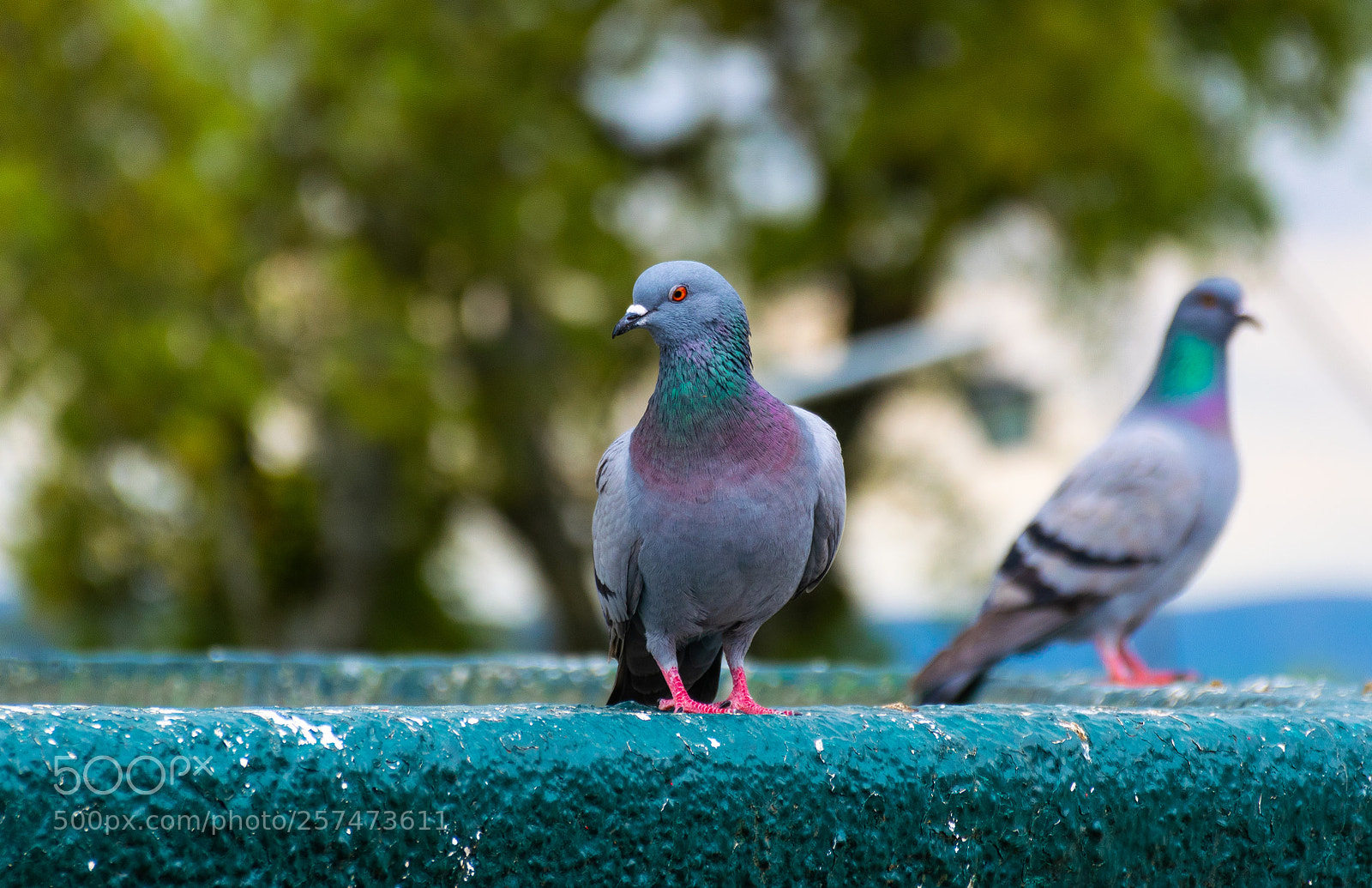Nikon D5300 sample photo. Lovely female photography