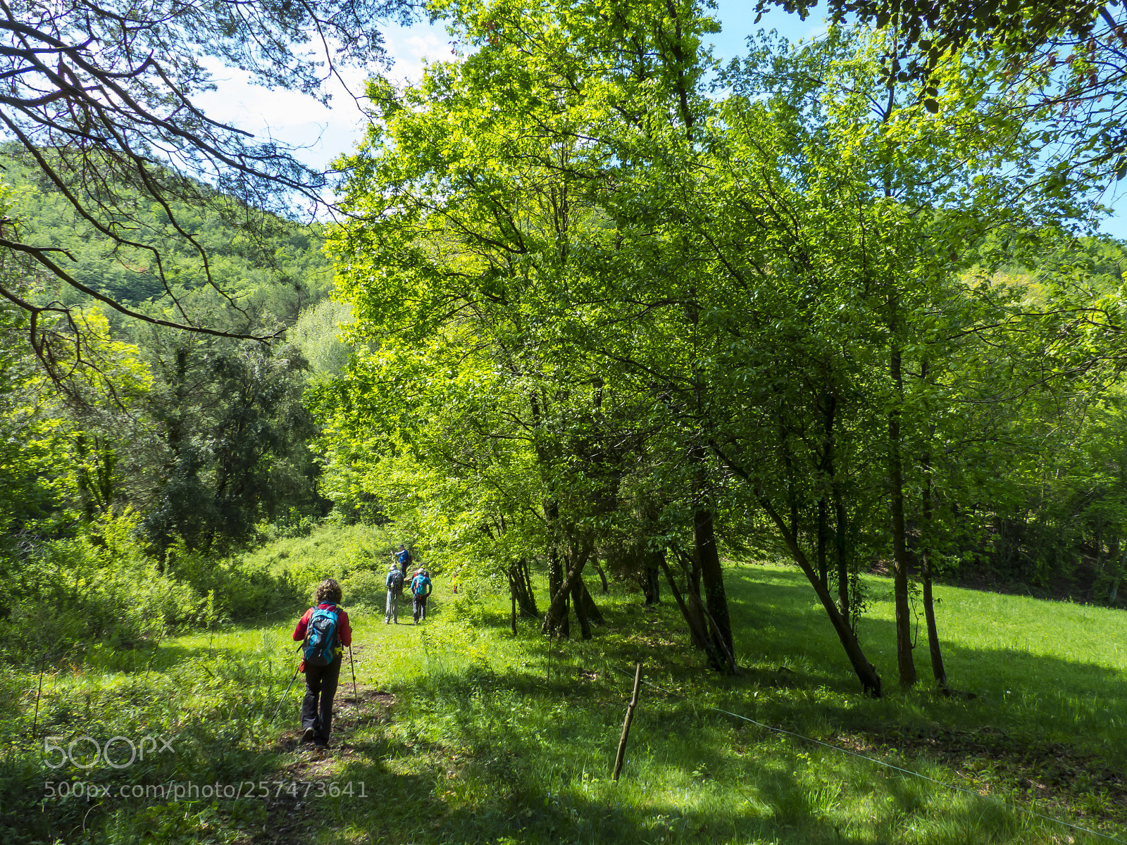 Panasonic Lumix DMC-FZ200 sample photo. Vall de bac photography
