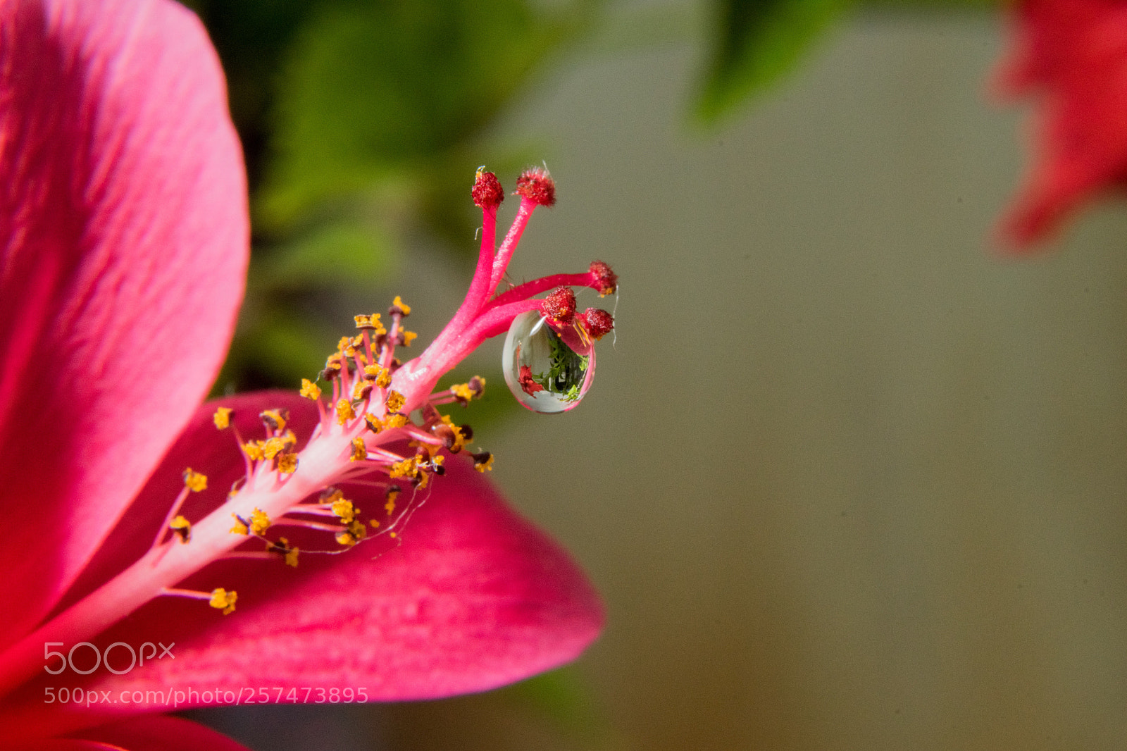 Nikon D5300 sample photo. Untitled photography