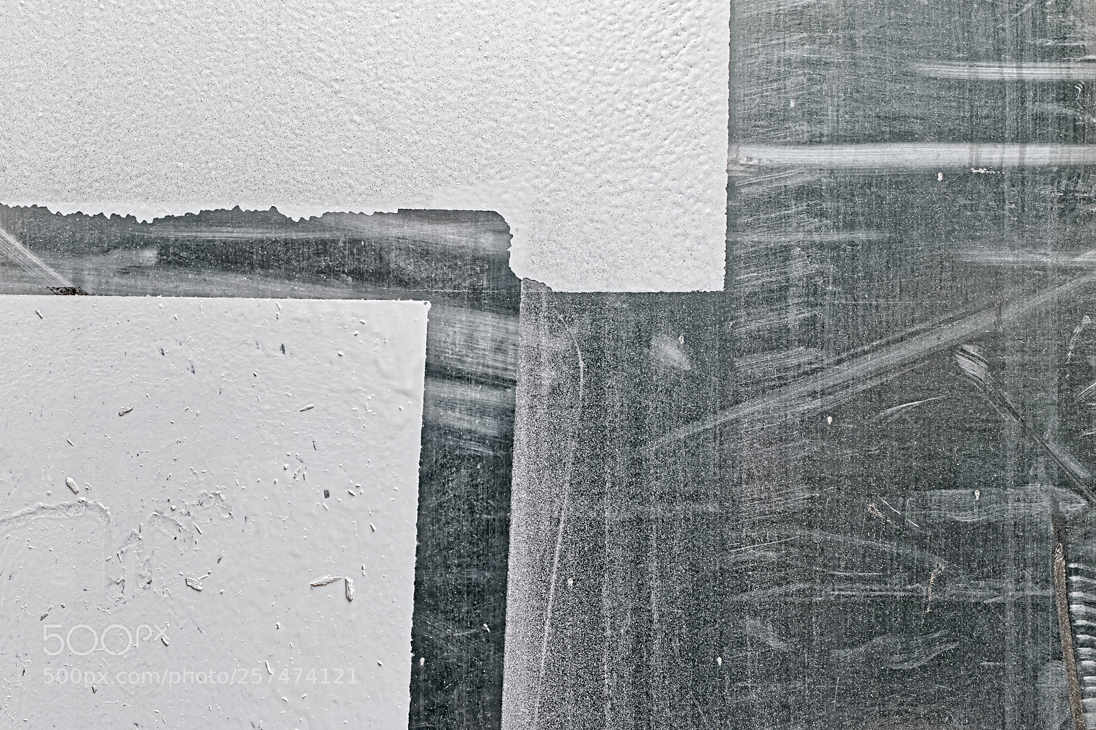 Canon EOS 7D Mark II sample photo. Mondrianus urbanicus photography