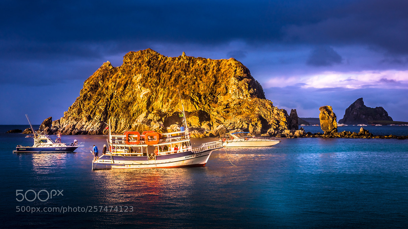 Nikon D810 sample photo. Last rays of sun photography