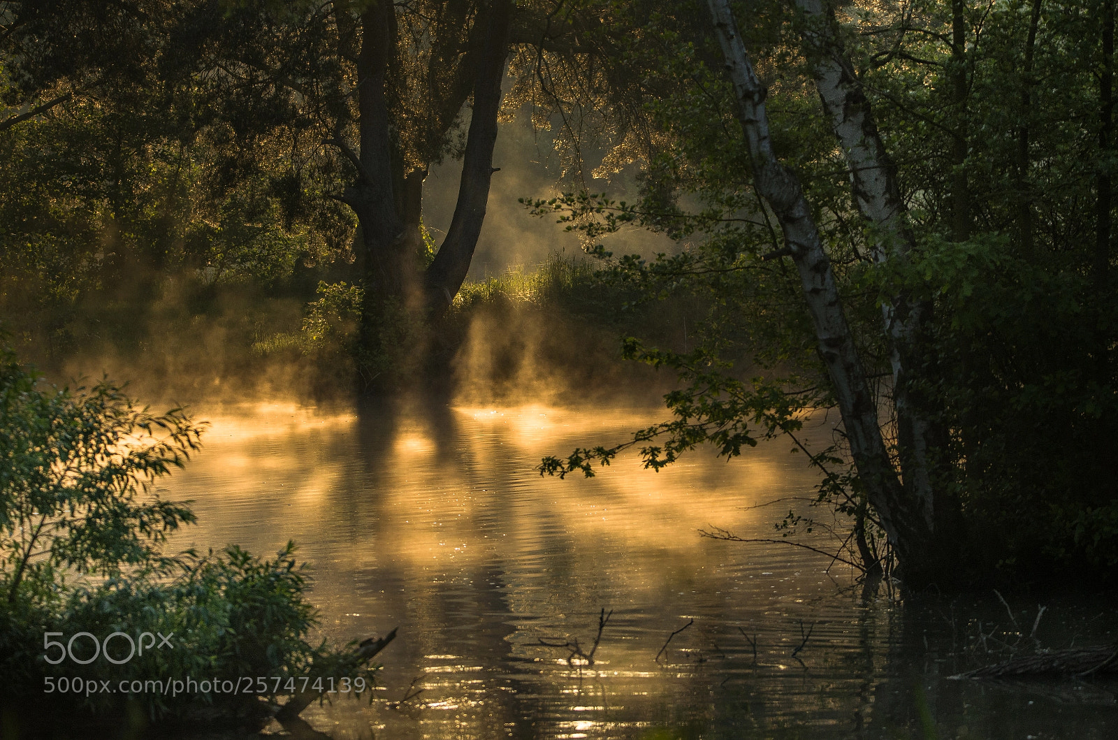 Nikon D5100 sample photo. A morning at the photography