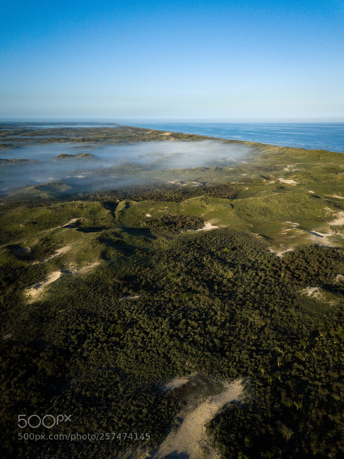 DJI FC220 sample photo. Untitled photography