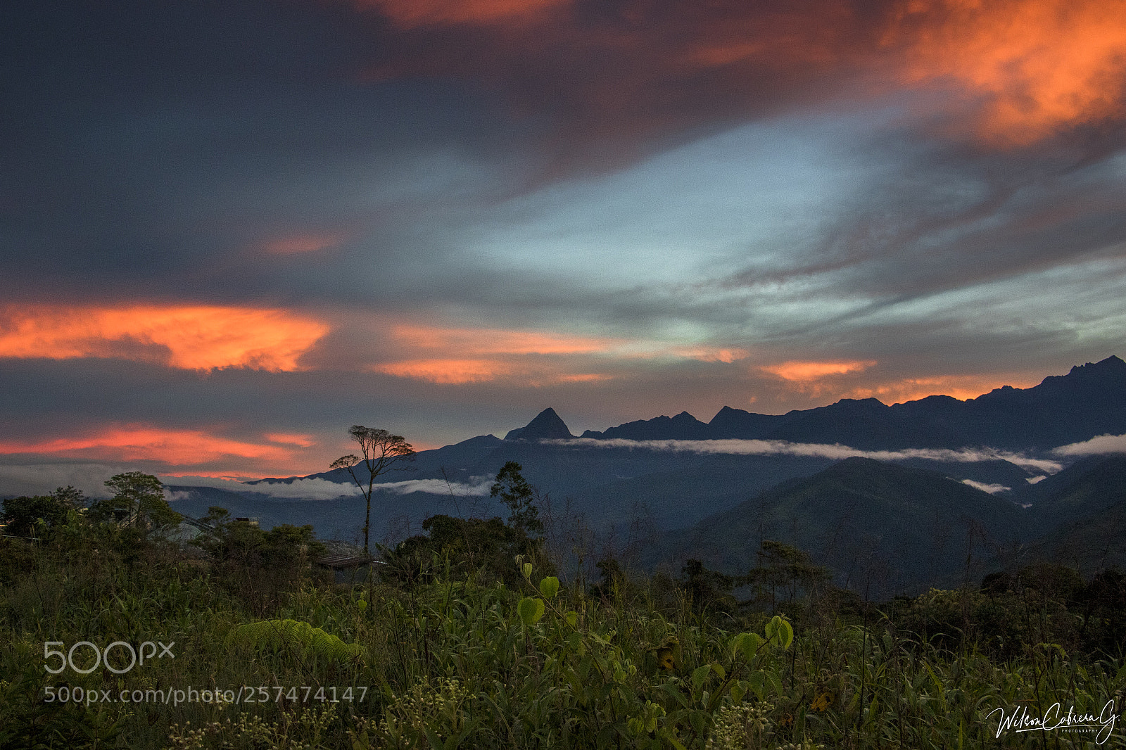 Canon EOS 7D Mark II sample photo. Atardecer photography