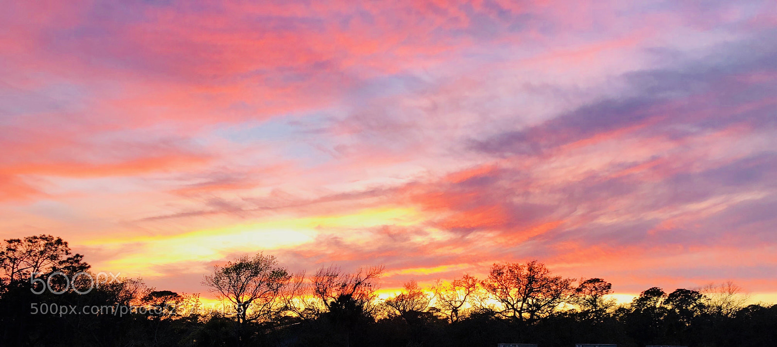 Apple iPhone X sample photo. Pink sky photography