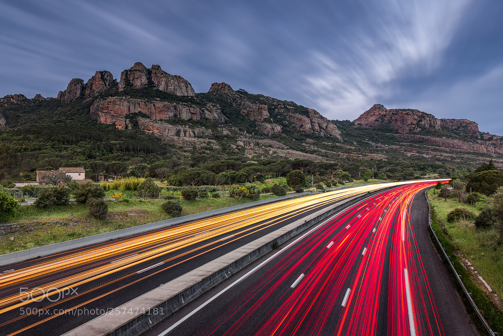 Nikon D750 sample photo. Speed photography