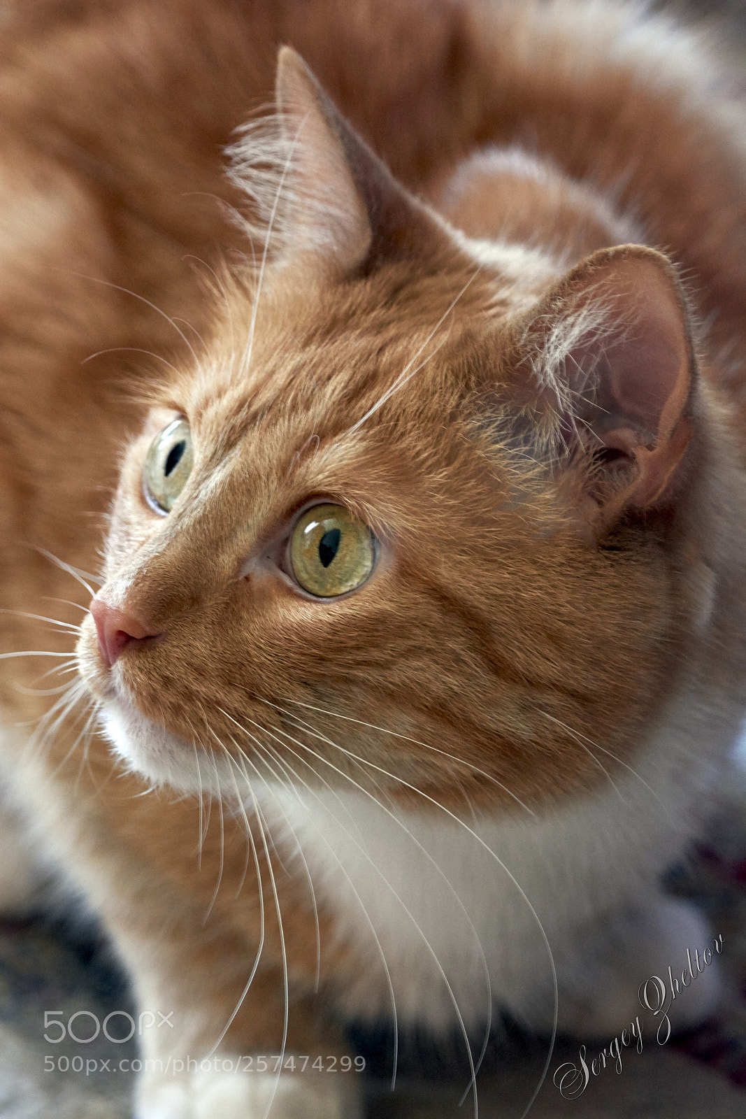 Nikon D7100 sample photo. It's not me photography