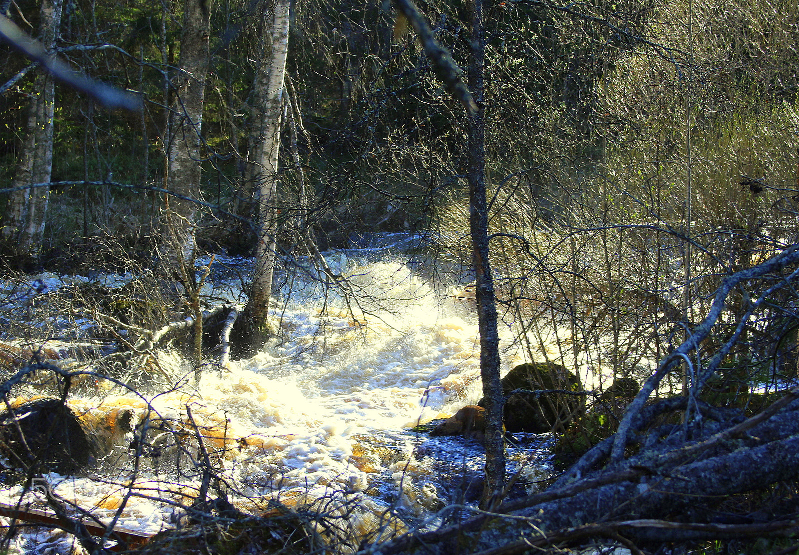 Canon EOS 700D (EOS Rebel T5i / EOS Kiss X7i) sample photo. Spring floods on the rapids has gone over the edges. photography