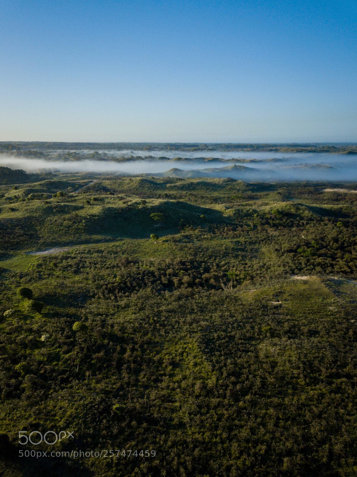 DJI FC220 sample photo. Untitled photography