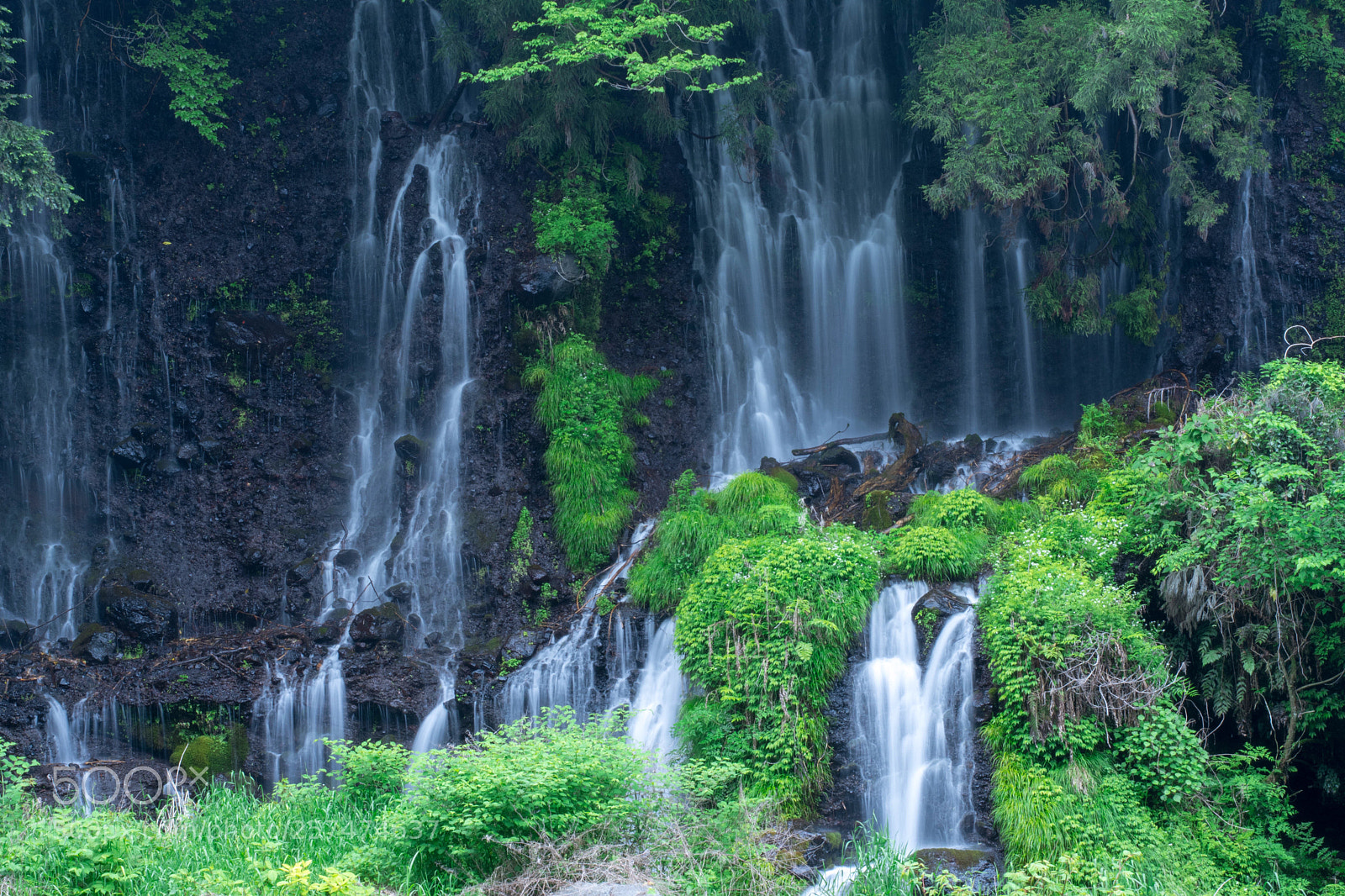 Nikon D7500 sample photo. Shiraito falls photography