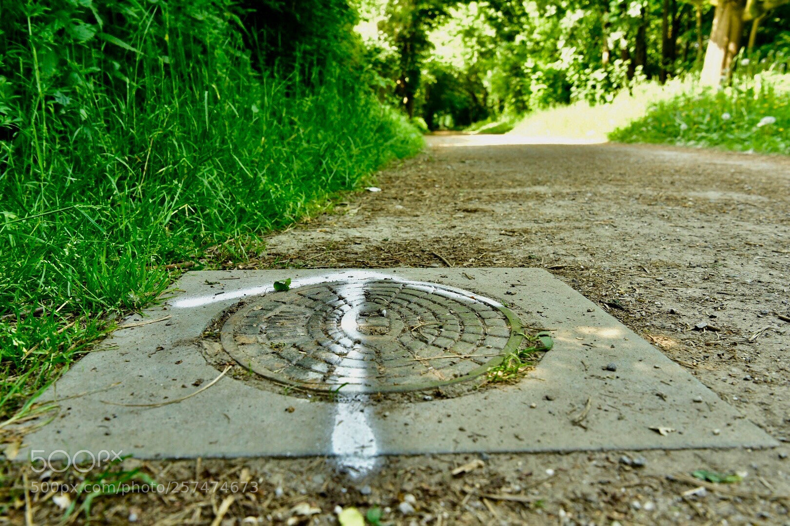 Nikon D750 sample photo. Way home  photography