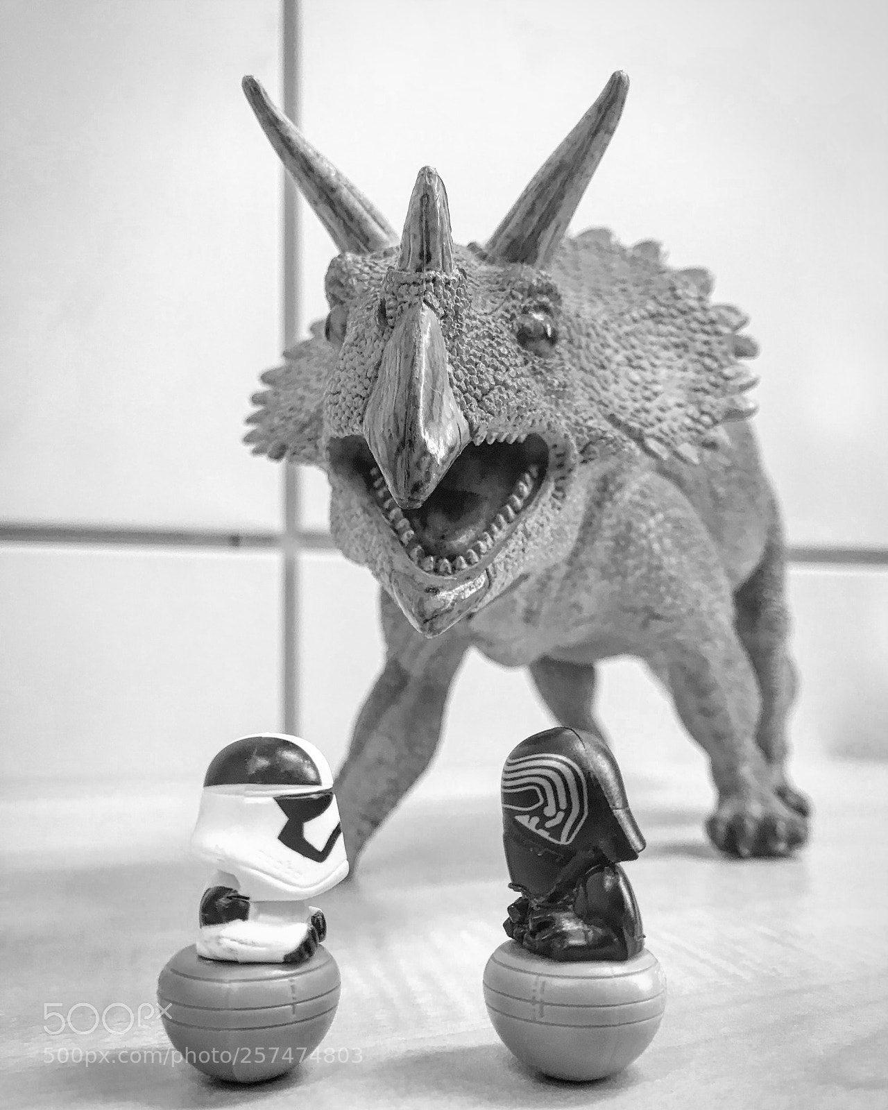 Apple iPhone 7 Plus sample photo. My dino vs star photography