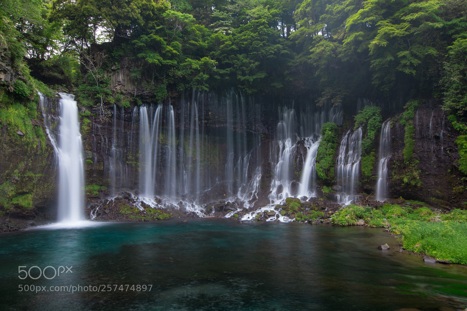 Nikon D7500 sample photo. Shiraito falls photography