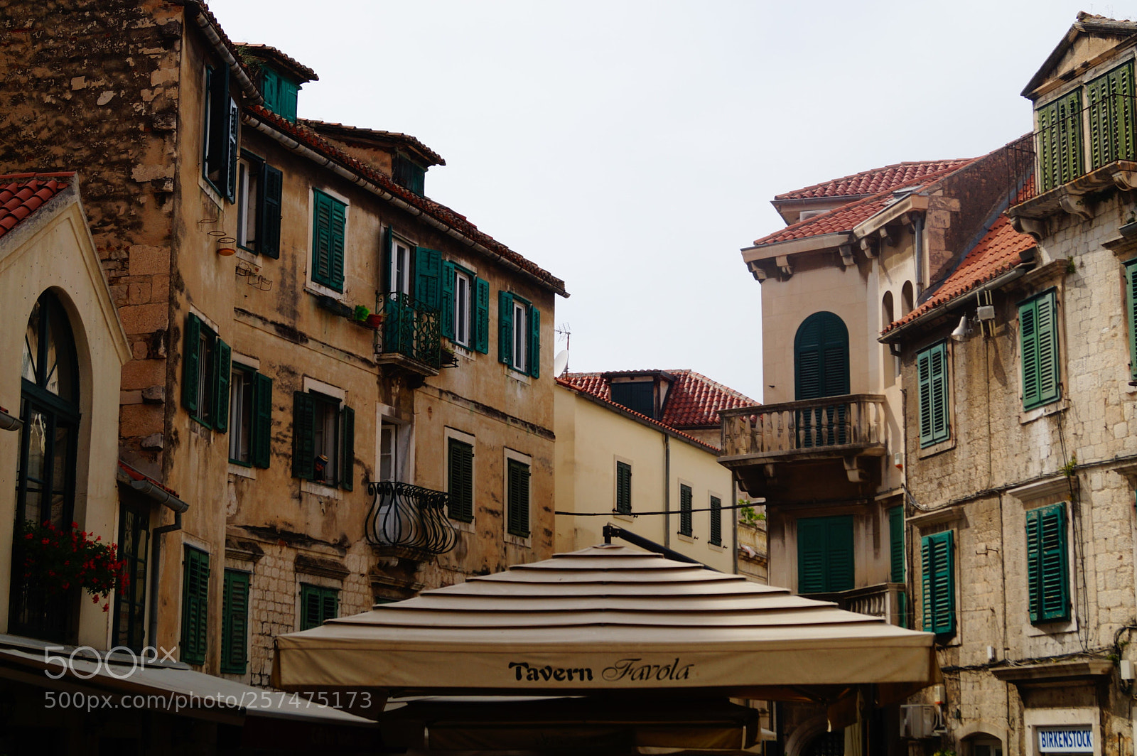 Sony SLT-A58 sample photo. Split photography