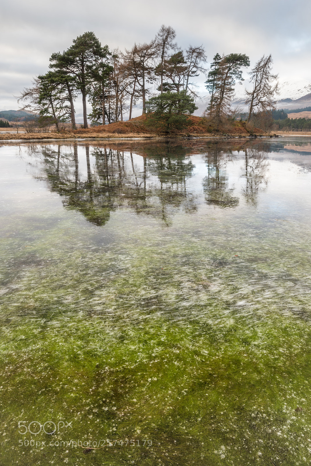Nikon D810 sample photo. Loch tulla #2 photography