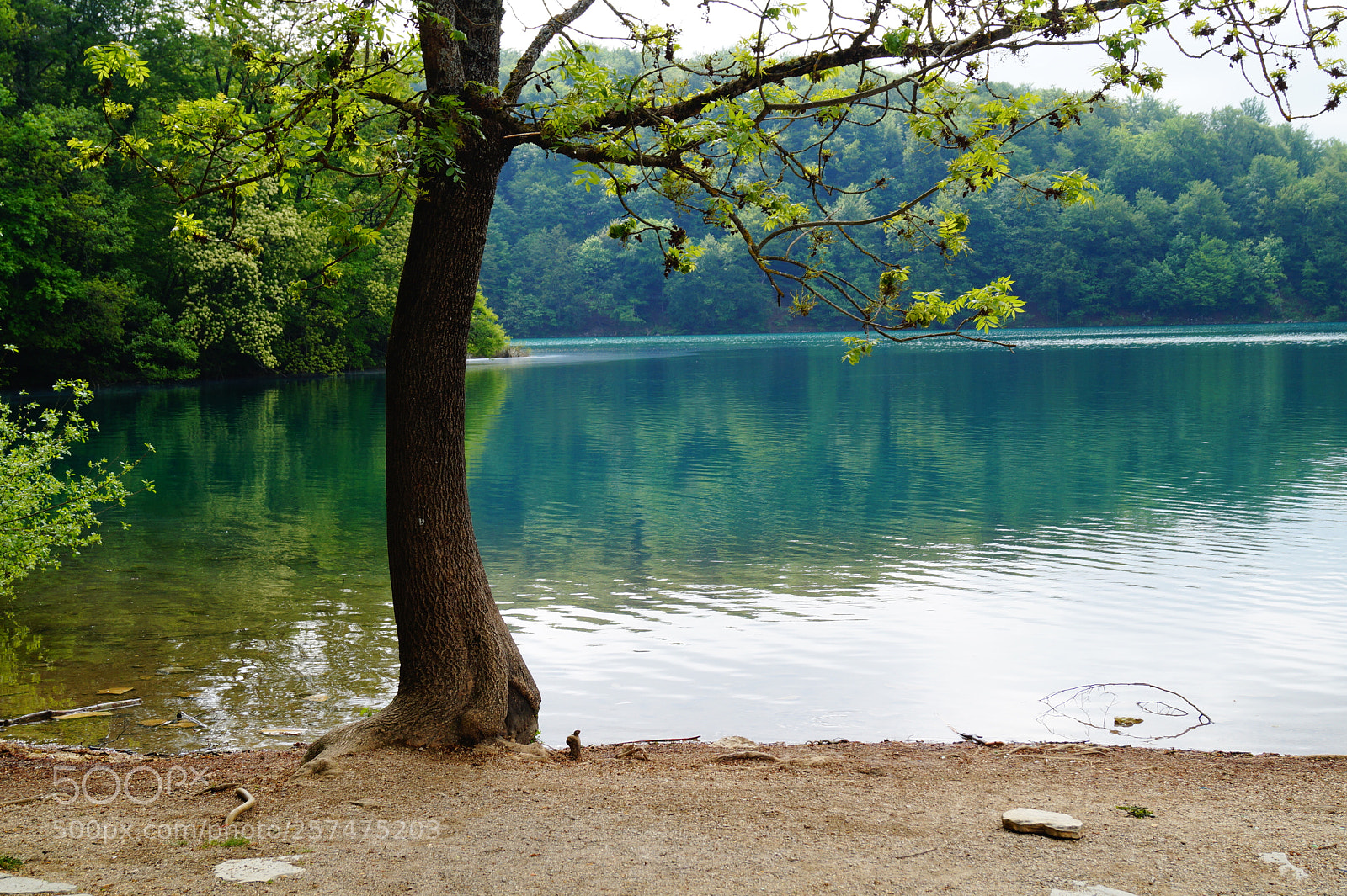 Sony SLT-A58 sample photo. Paradise lake photography