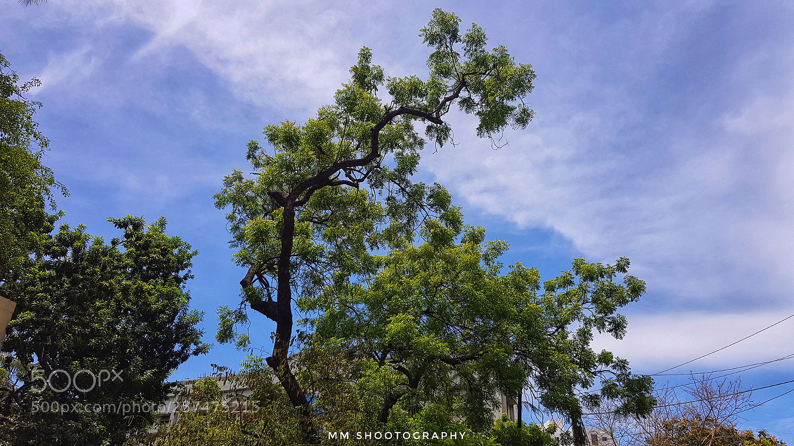 Samsung Galaxy S8+ sample photo. Clouds photography