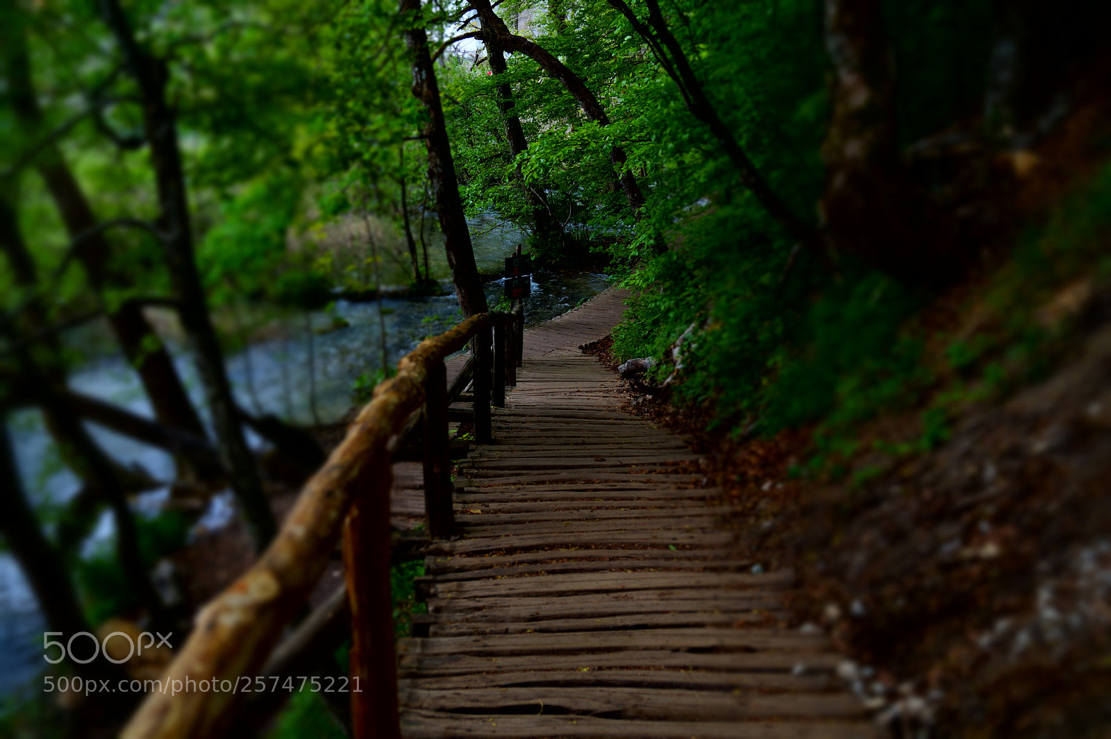 Sony SLT-A58 sample photo. Path above the lake photography
