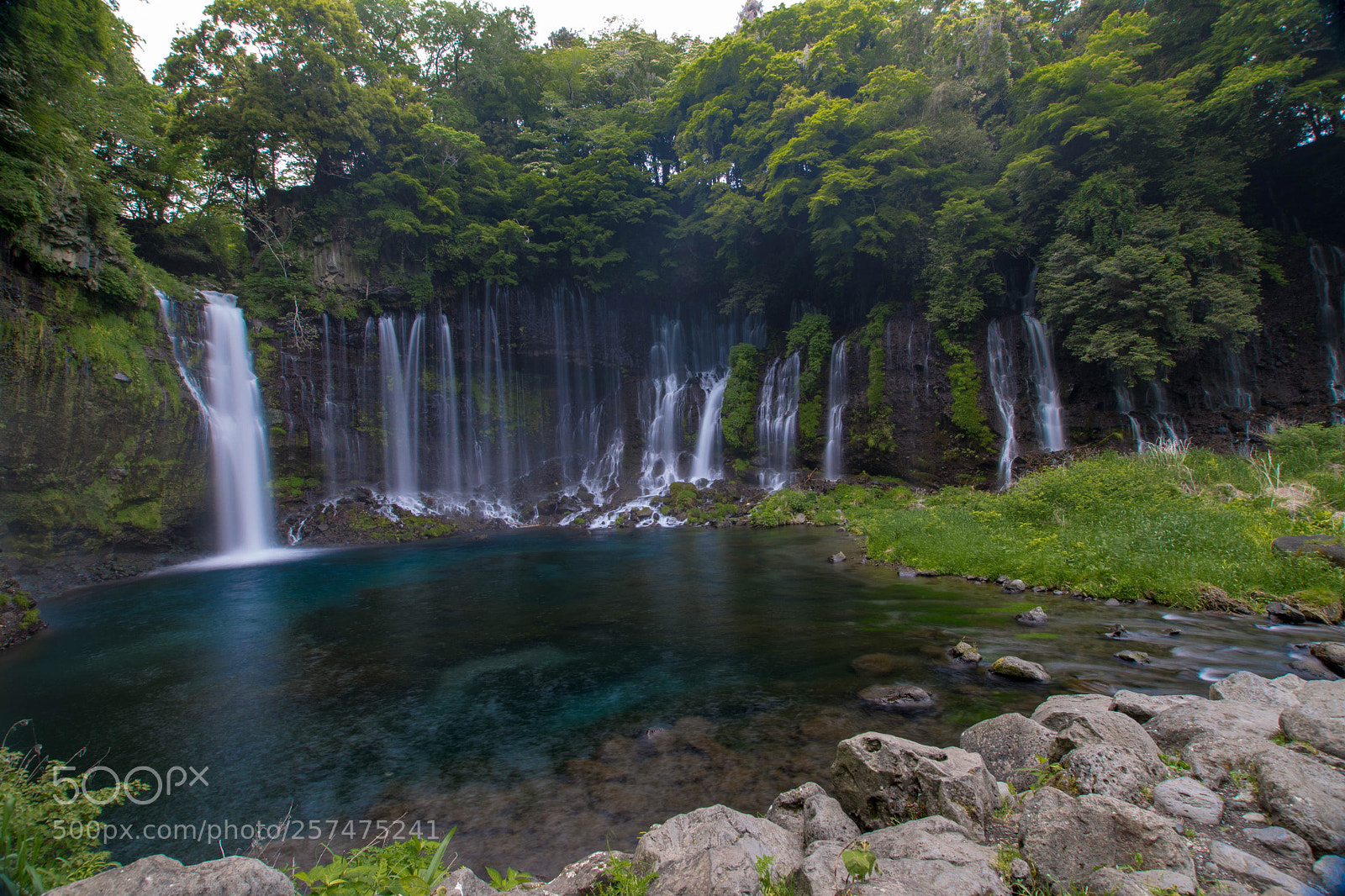 Nikon D7500 sample photo. Shiraito falls photography