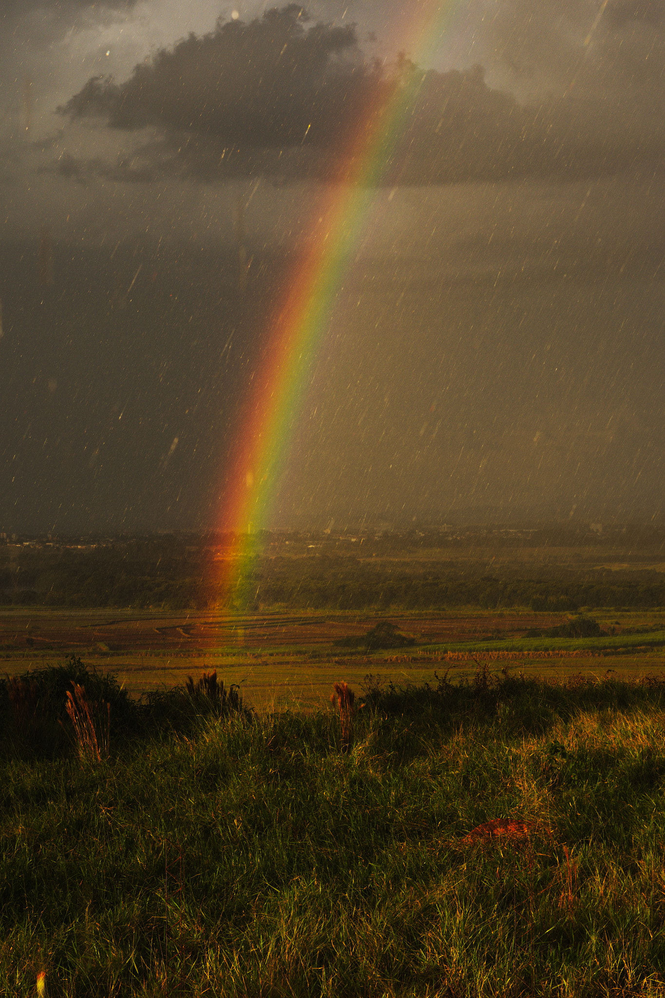 Nikon D7100 + Nikon AF Nikkor 50mm F1.4D sample photo. No pot of gold photography