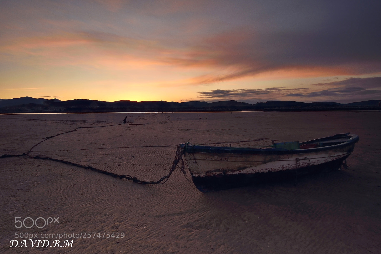 Nikon D7200 sample photo. Life or death...sunset in photography