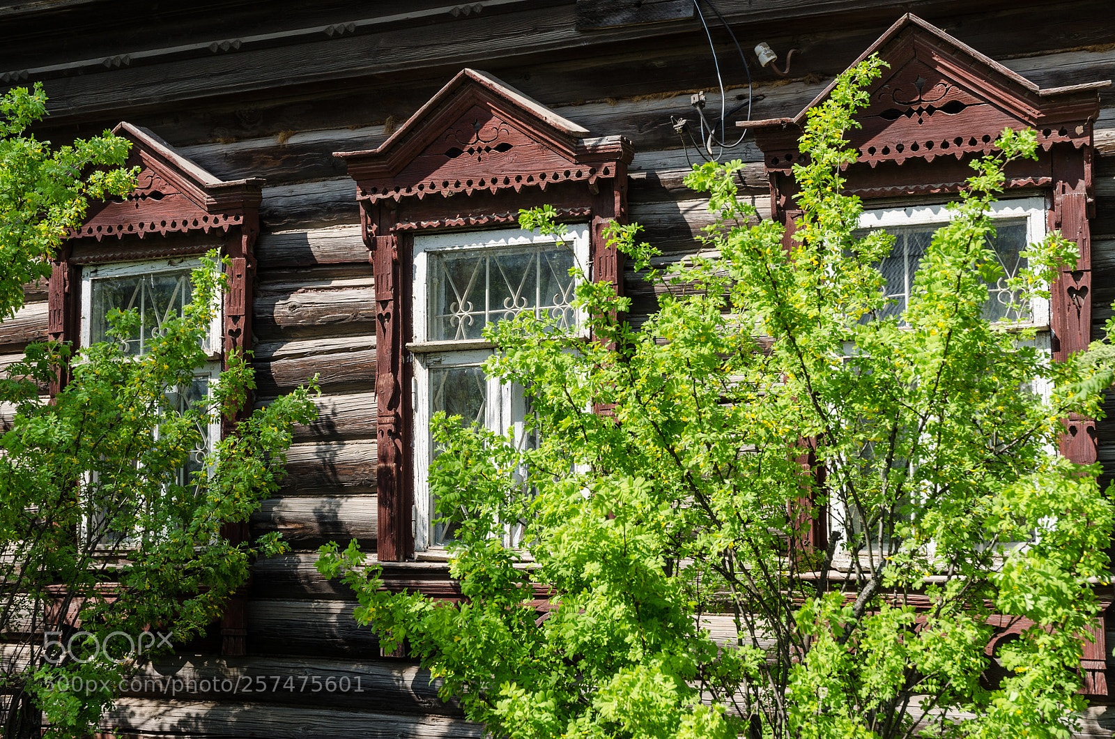 Nikon D5100 sample photo. 381 photography