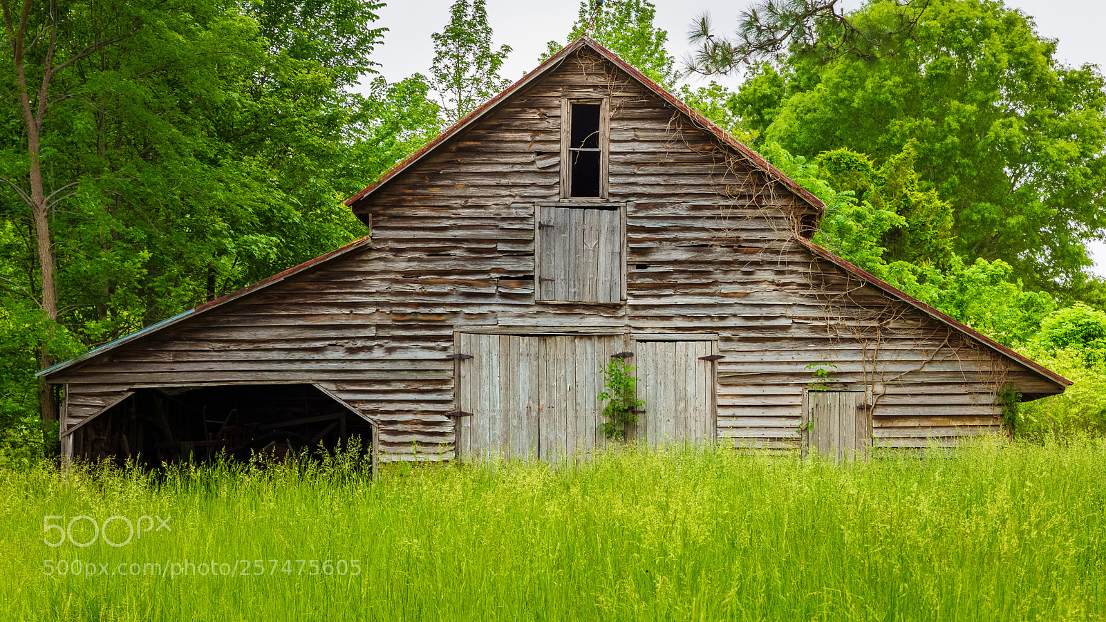 Canon EOS 5DS R sample photo. Barn grass perry long photography