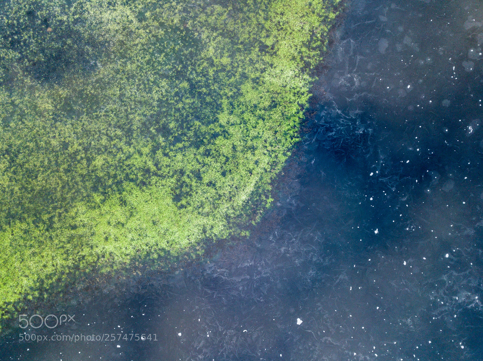 DJI FC220 sample photo. Loch tulla from above #5 photography