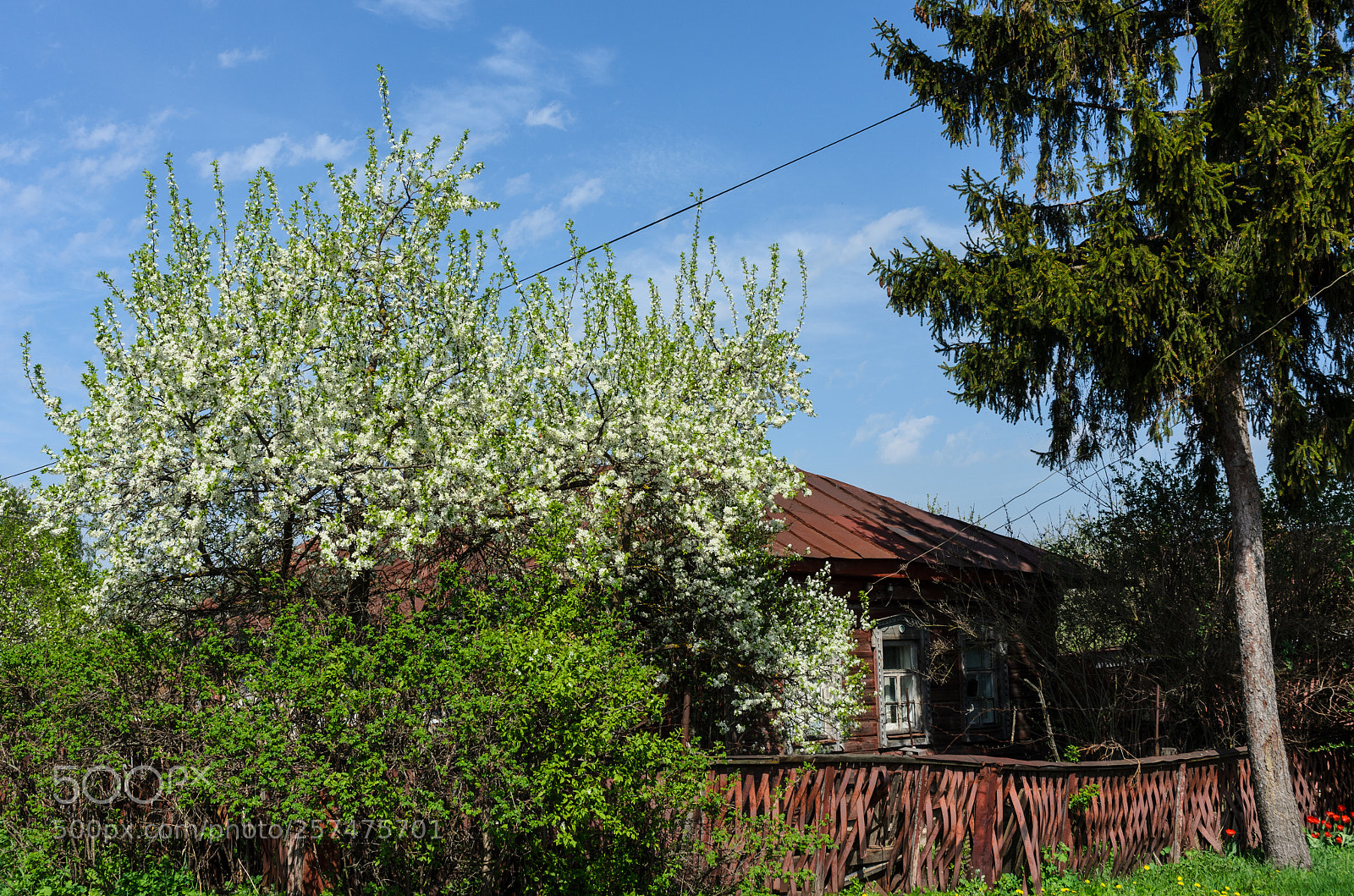 Nikon D5100 sample photo. 382 photography