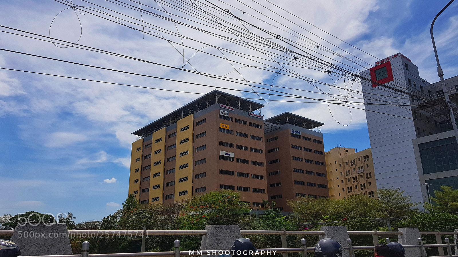 Samsung Galaxy S8+ sample photo. Massive chetpet photography
