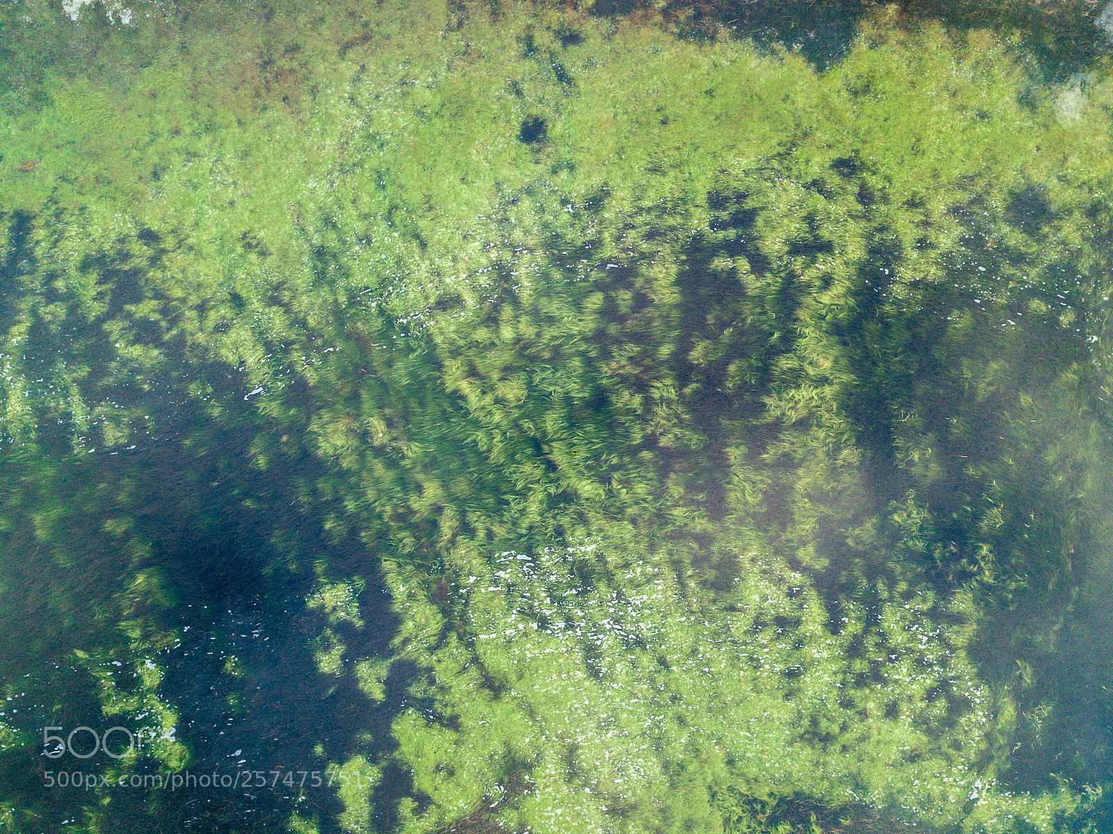 DJI FC220 sample photo. Loch tulla from above #6 photography