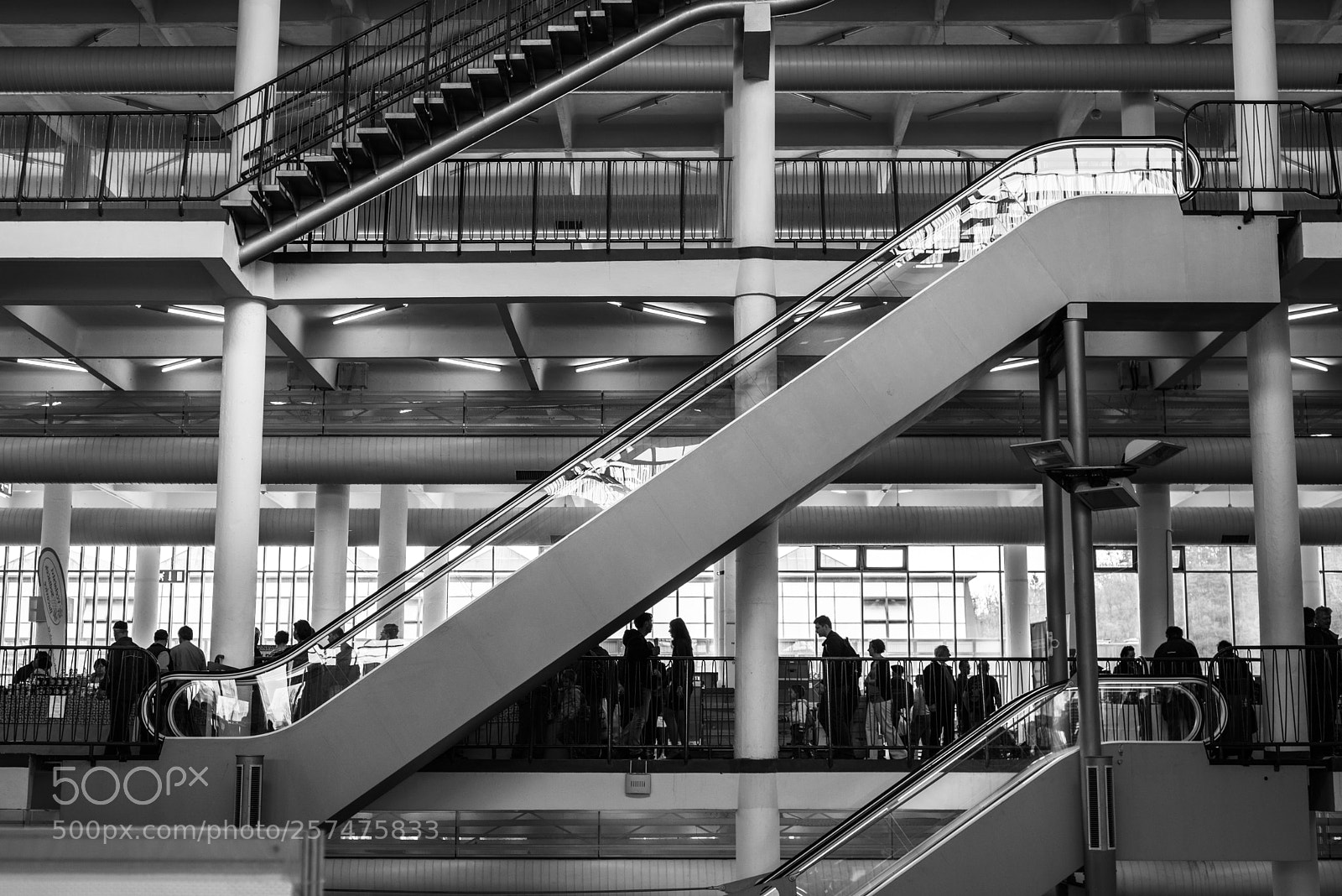 Nikon D750 sample photo. Escalator photography