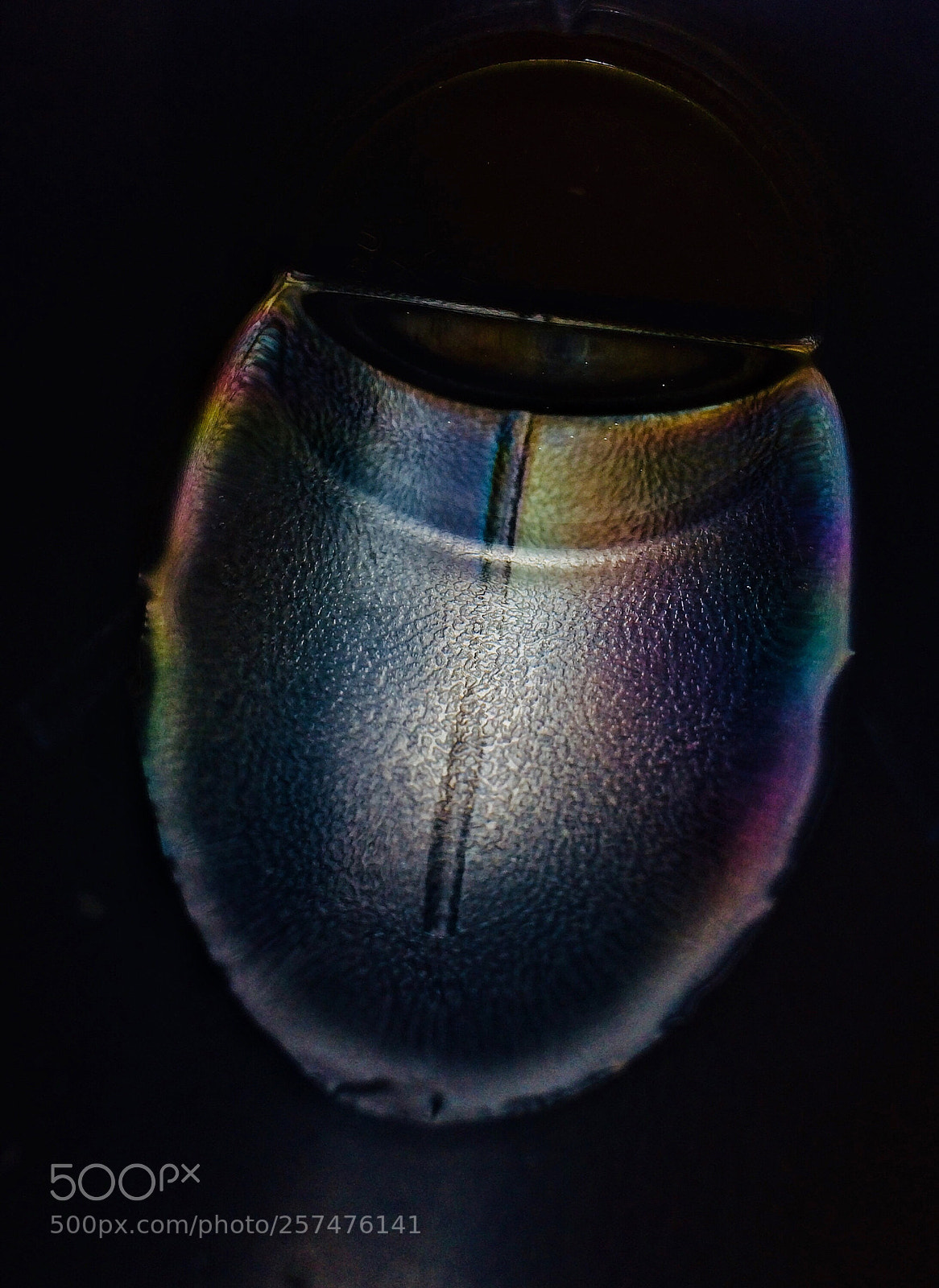 Apple iPhone 5s sample photo. Refract light !!! photography