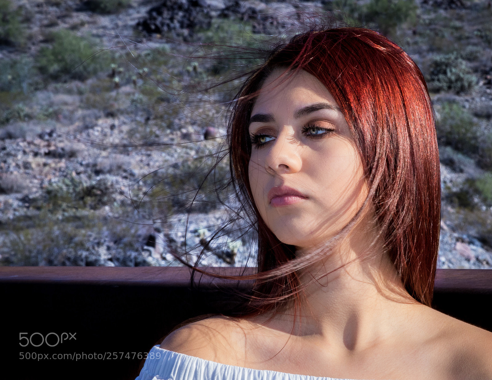 Canon EOS 7D Mark II sample photo. Reese photography