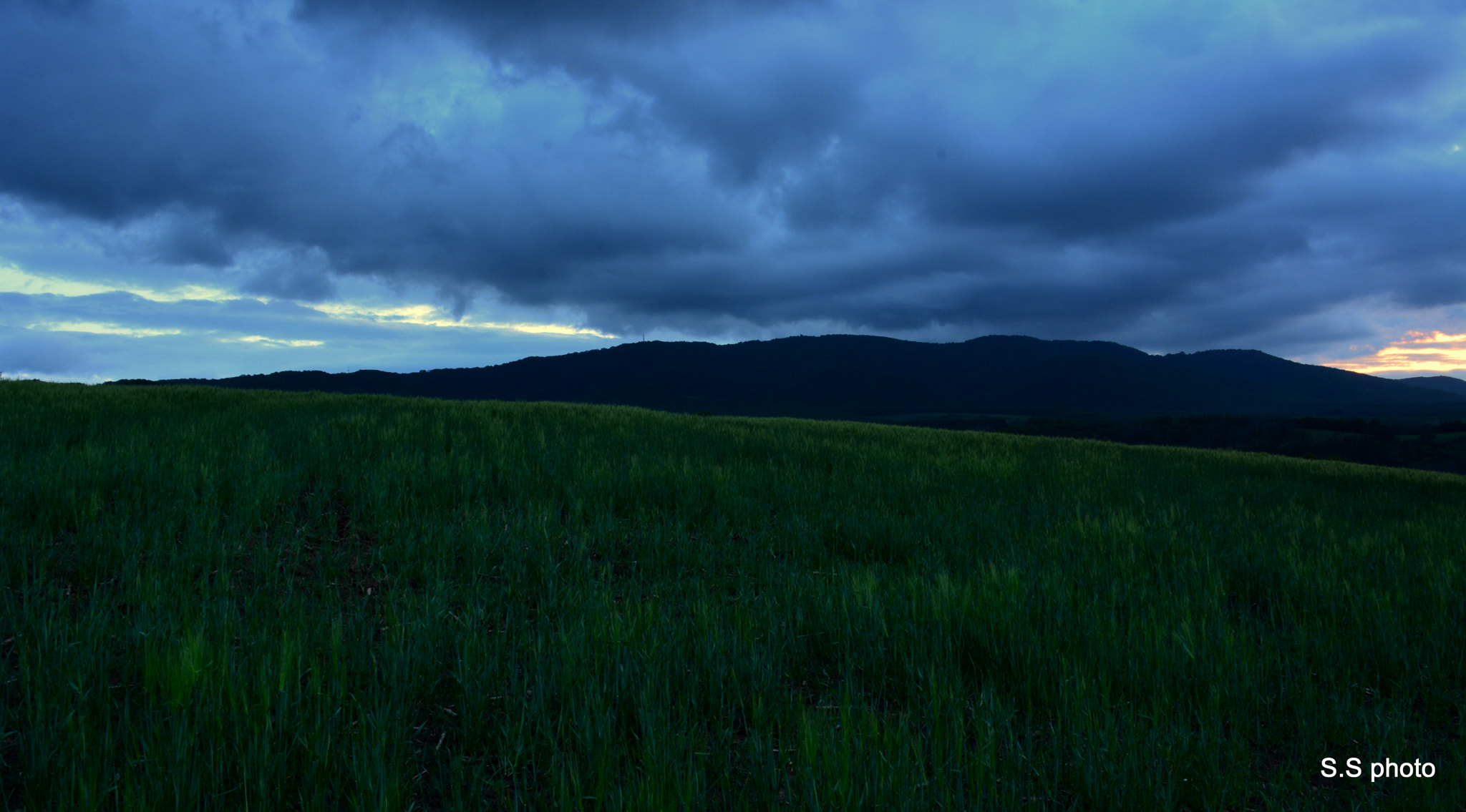 Nikon D7100 sample photo