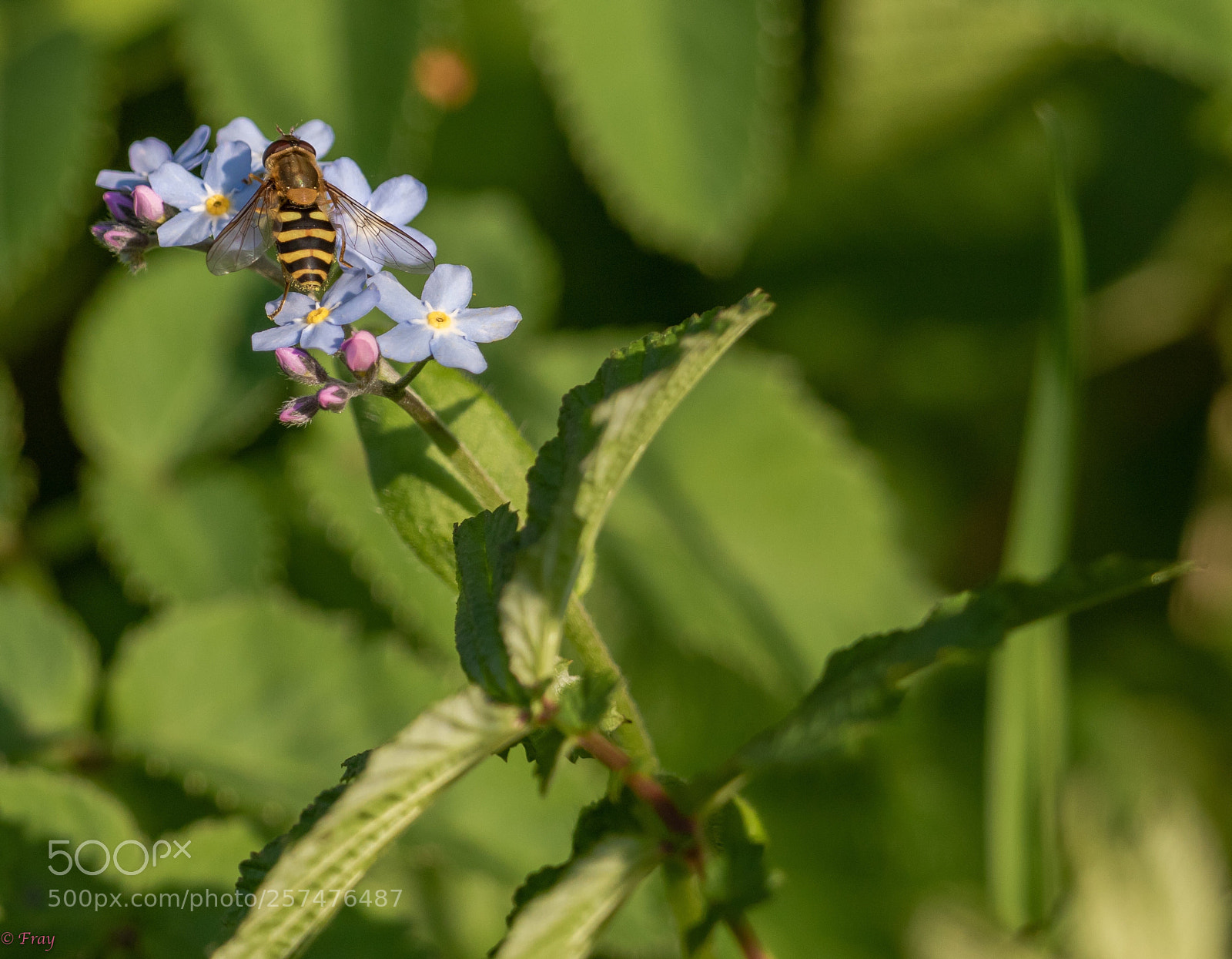 Canon EOS 7D Mark II sample photo. Untitled photography
