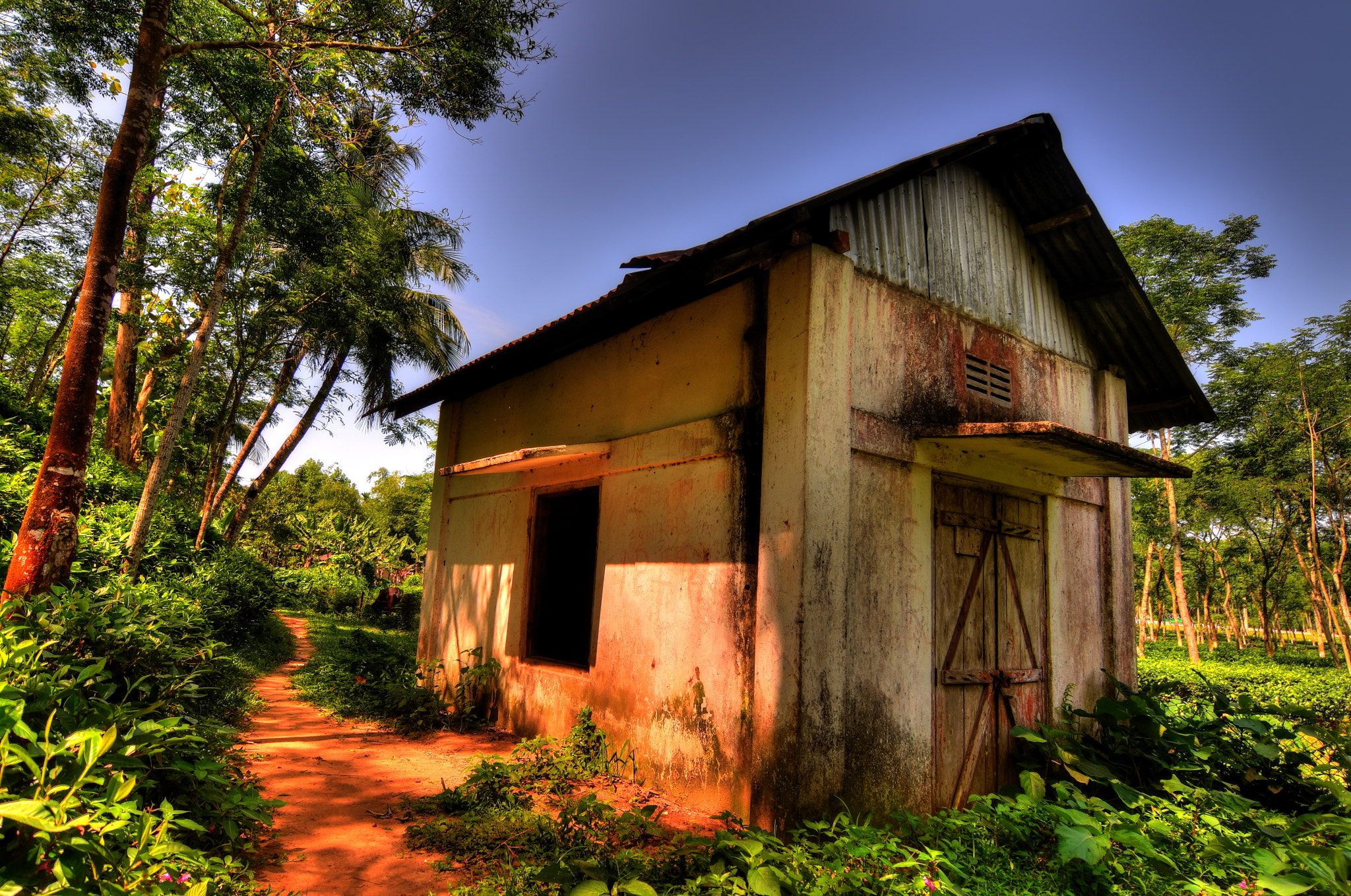 Nikon D7200 sample photo. Tea garden cottage photography