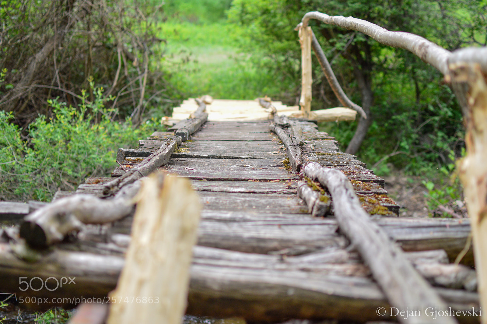 Nikon D3200 sample photo. Watch your steps photography