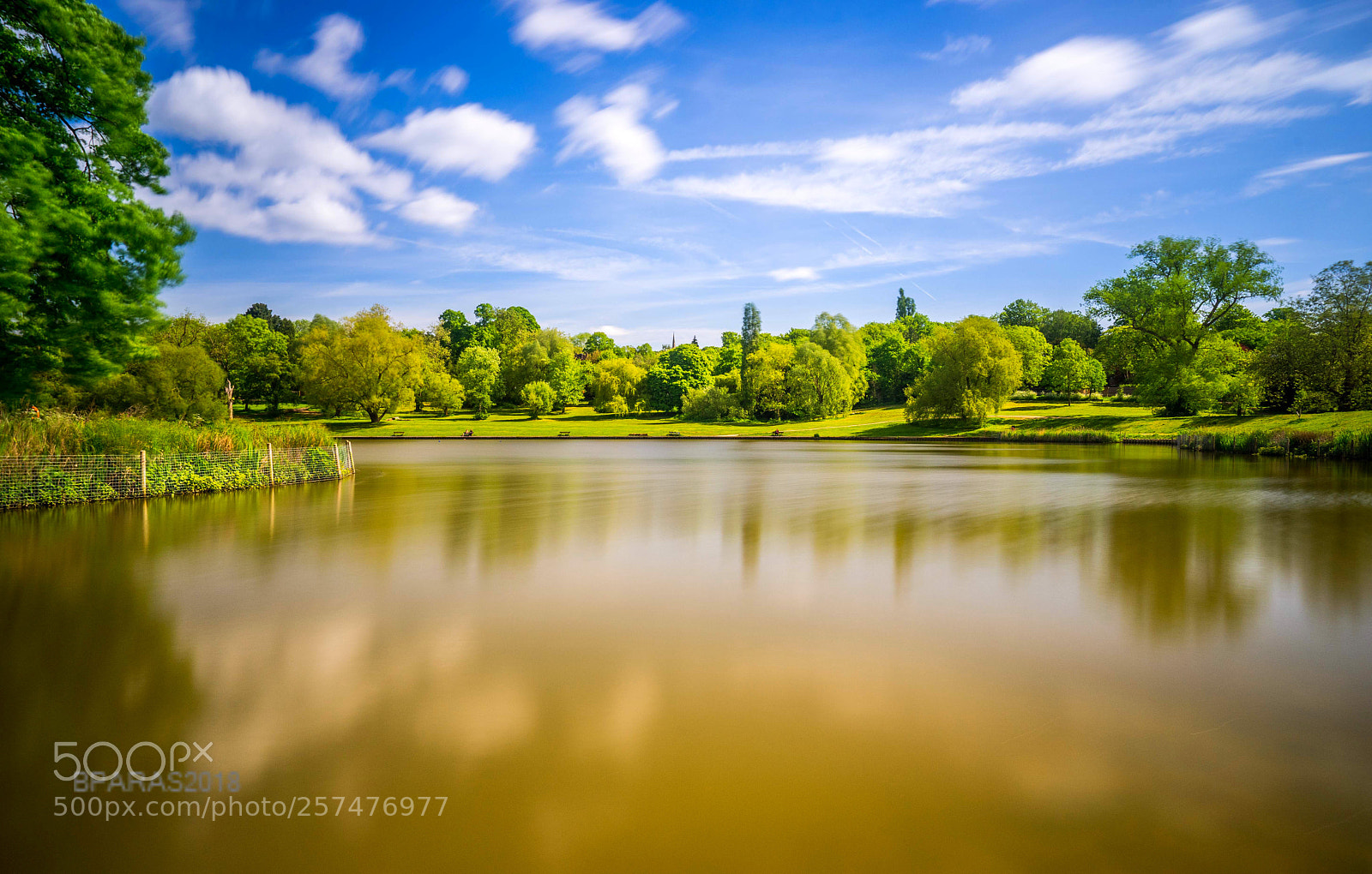 Sony a7 II sample photo. High gate pond photography