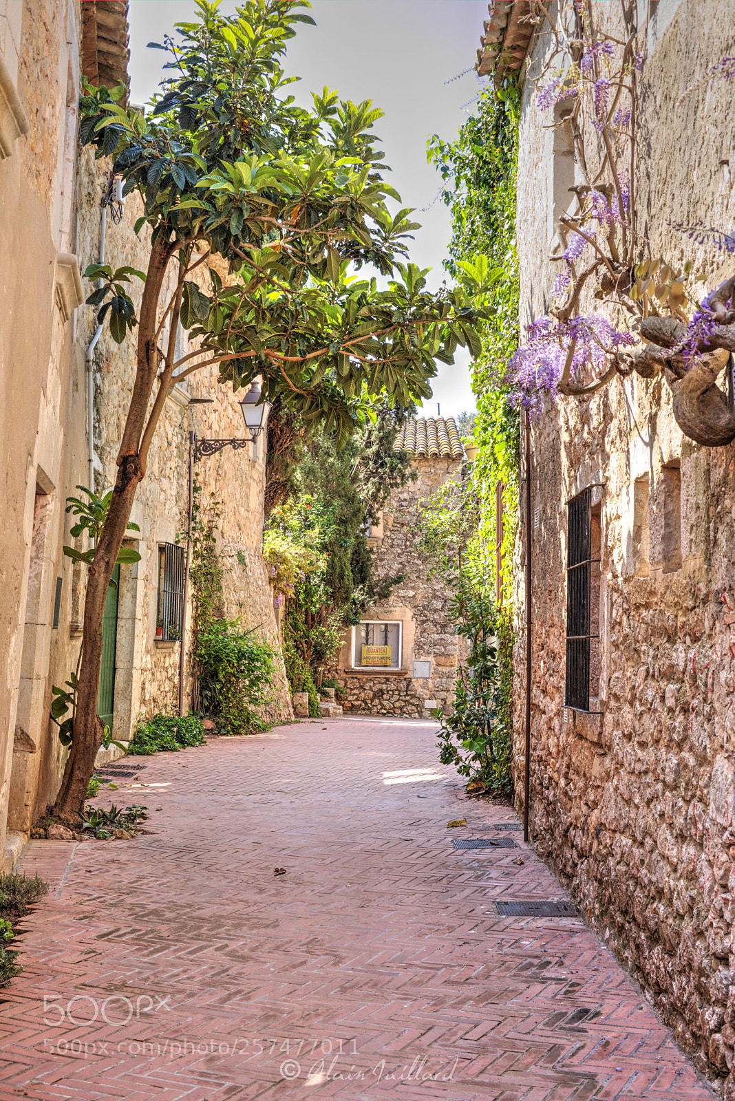 Canon EOS 6D Mark II sample photo. Little street of sant photography