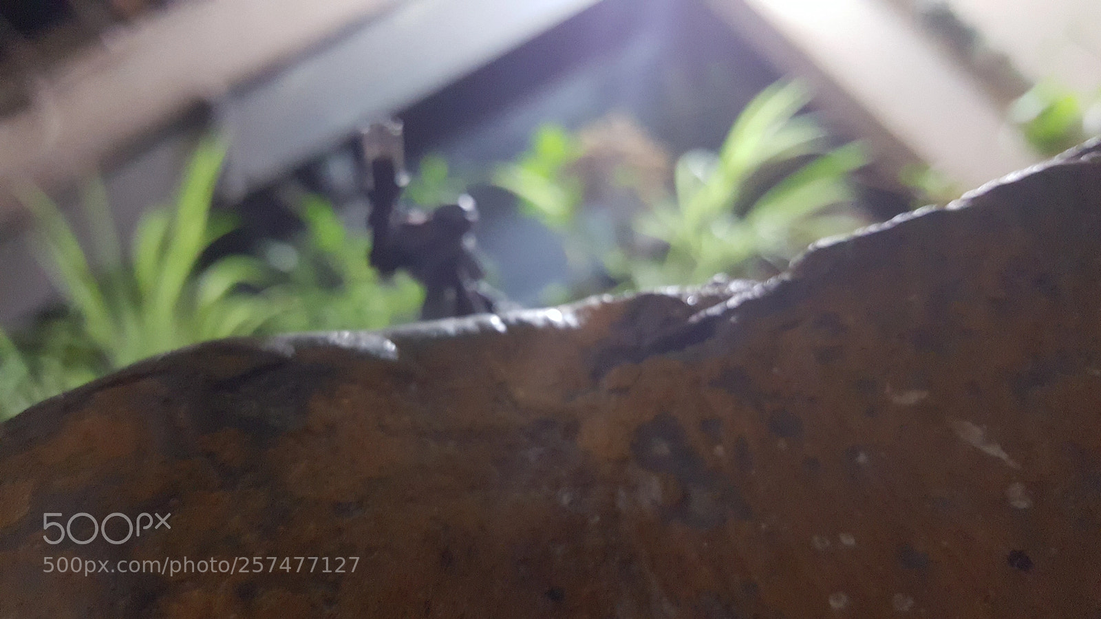 Samsung Galaxy Note5 sample photo. Good bye photography