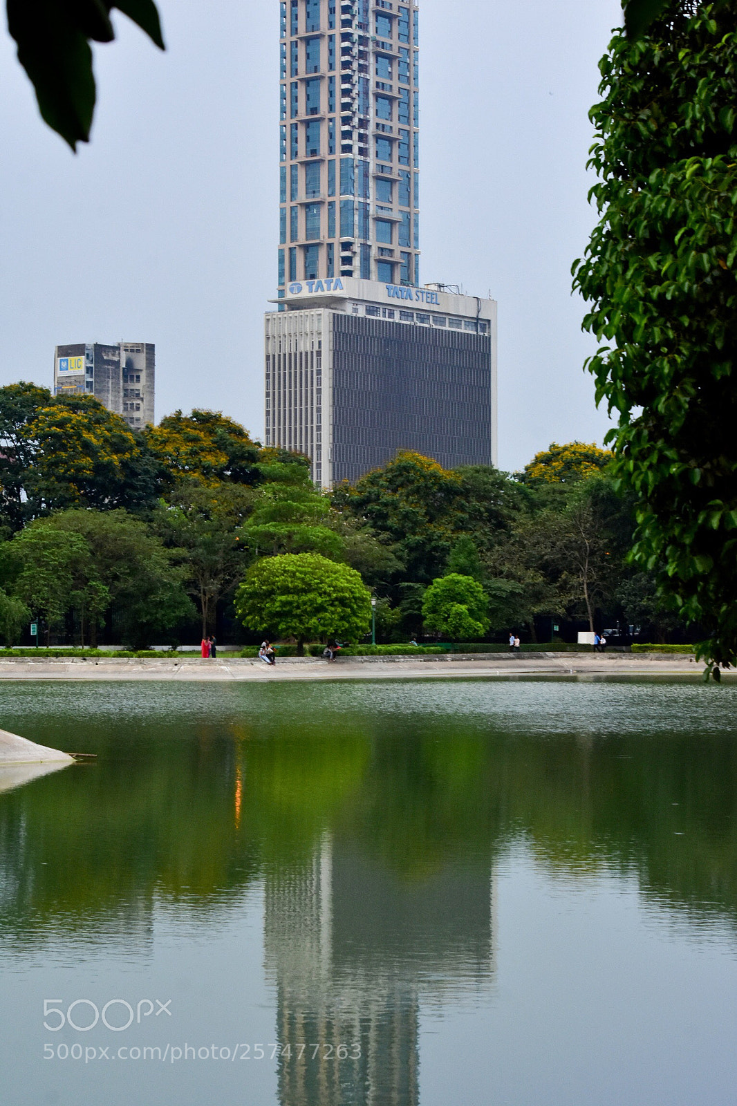 Nikon D3400 sample photo. Standing tall photography