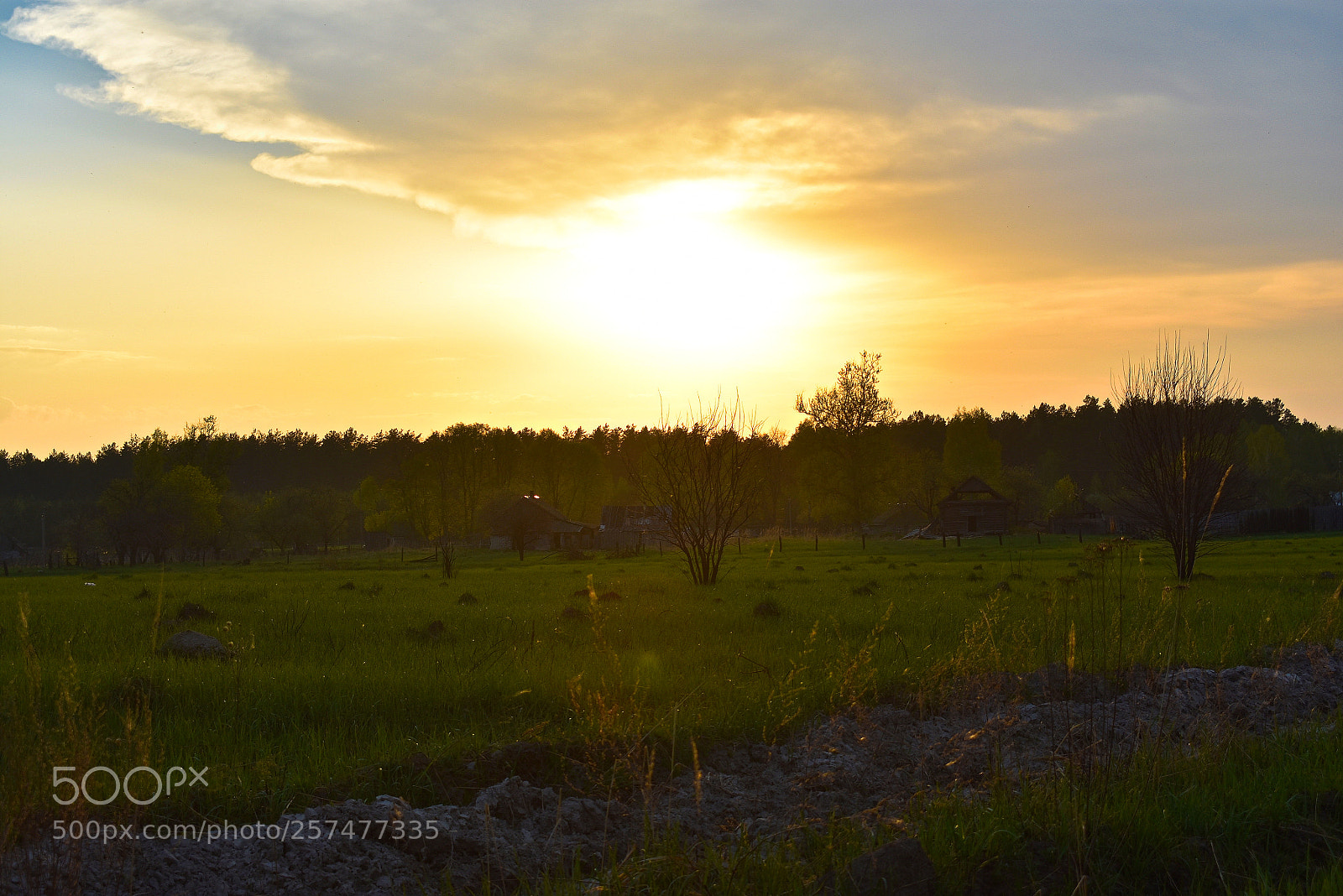 Nikon D3400 sample photo. Прохладный вечер photography