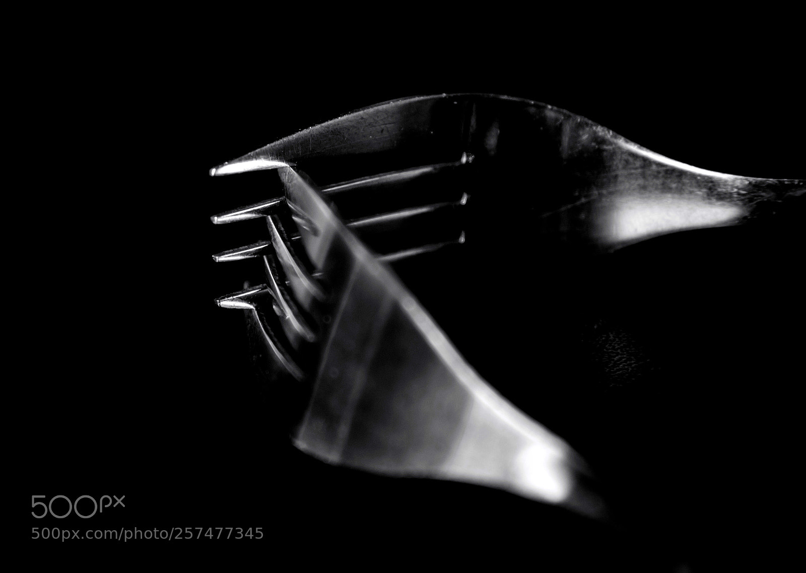 Nikon D810 sample photo. Untitled photography