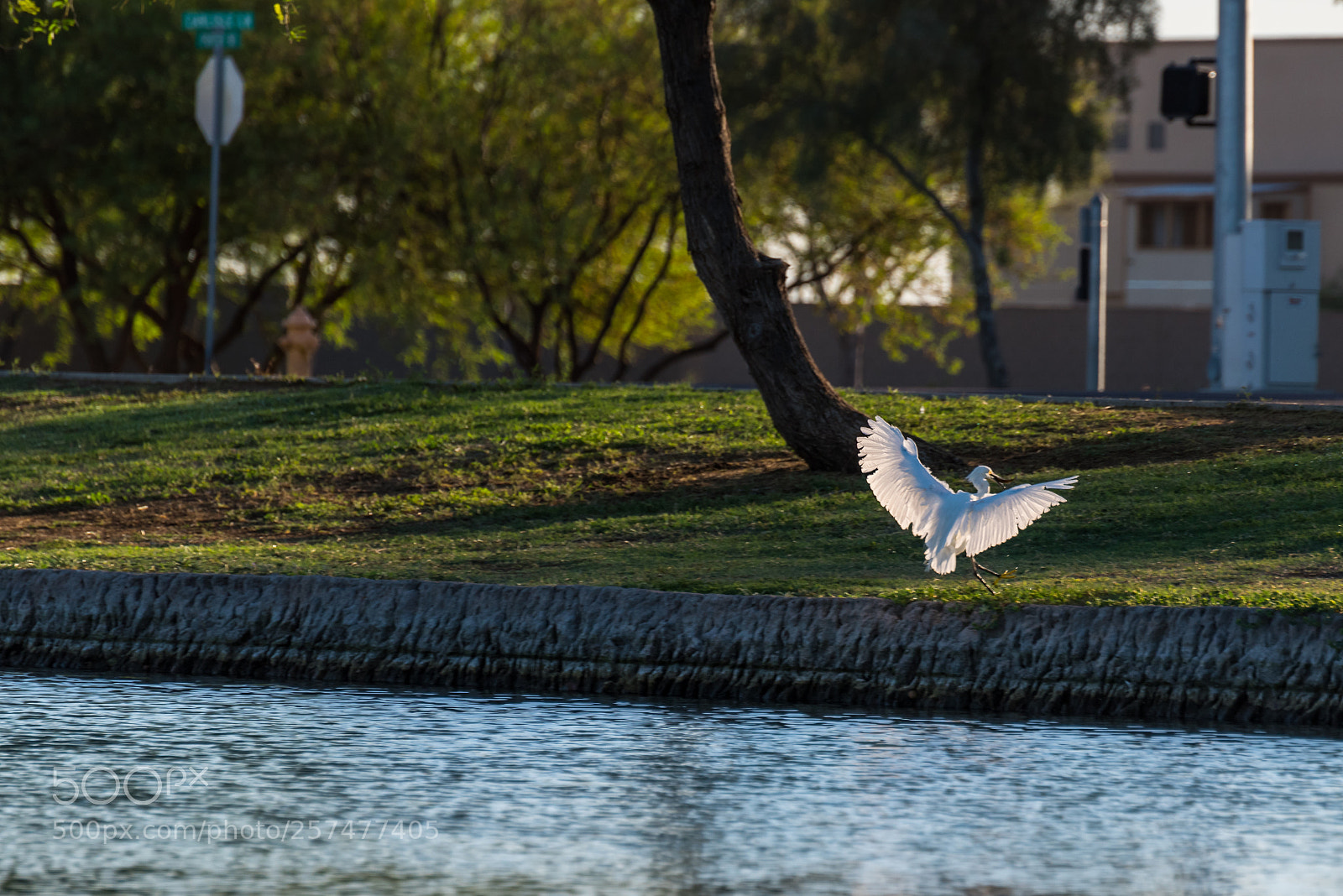 Nikon D750 sample photo. Ta-da! photography